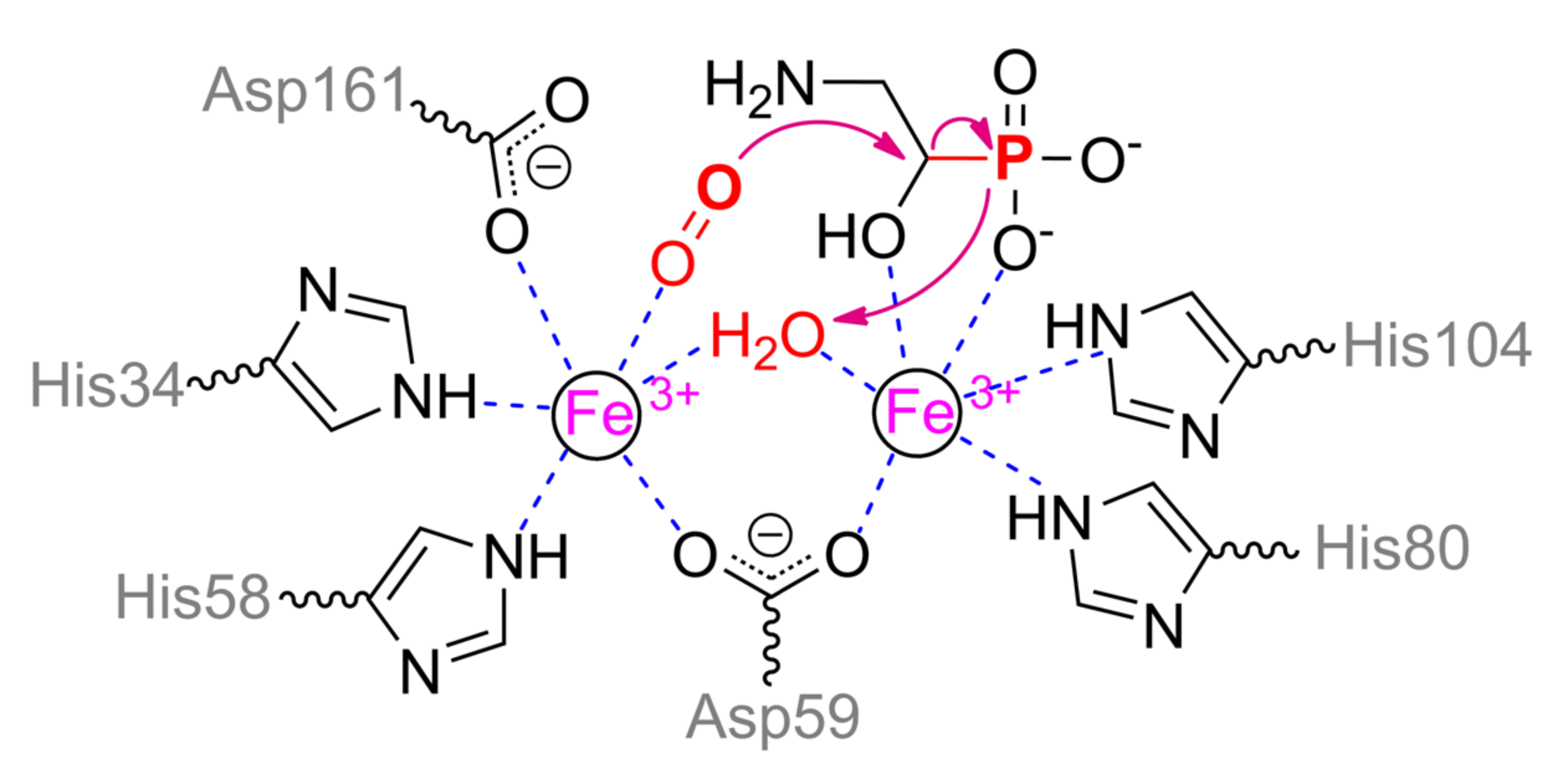Ijms 22 01761 sch012