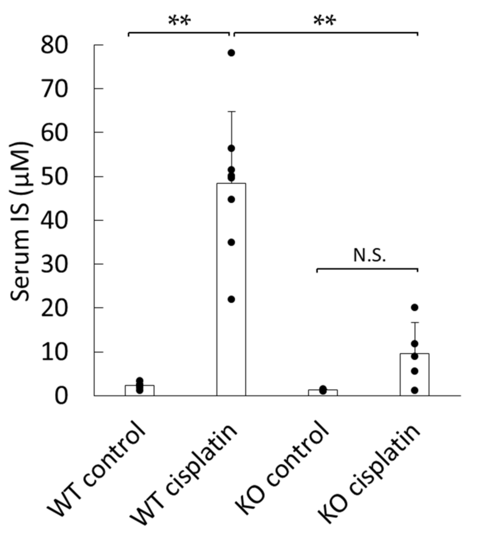 Ijms 22 01764 g001 Ijms 22 01764 g001
