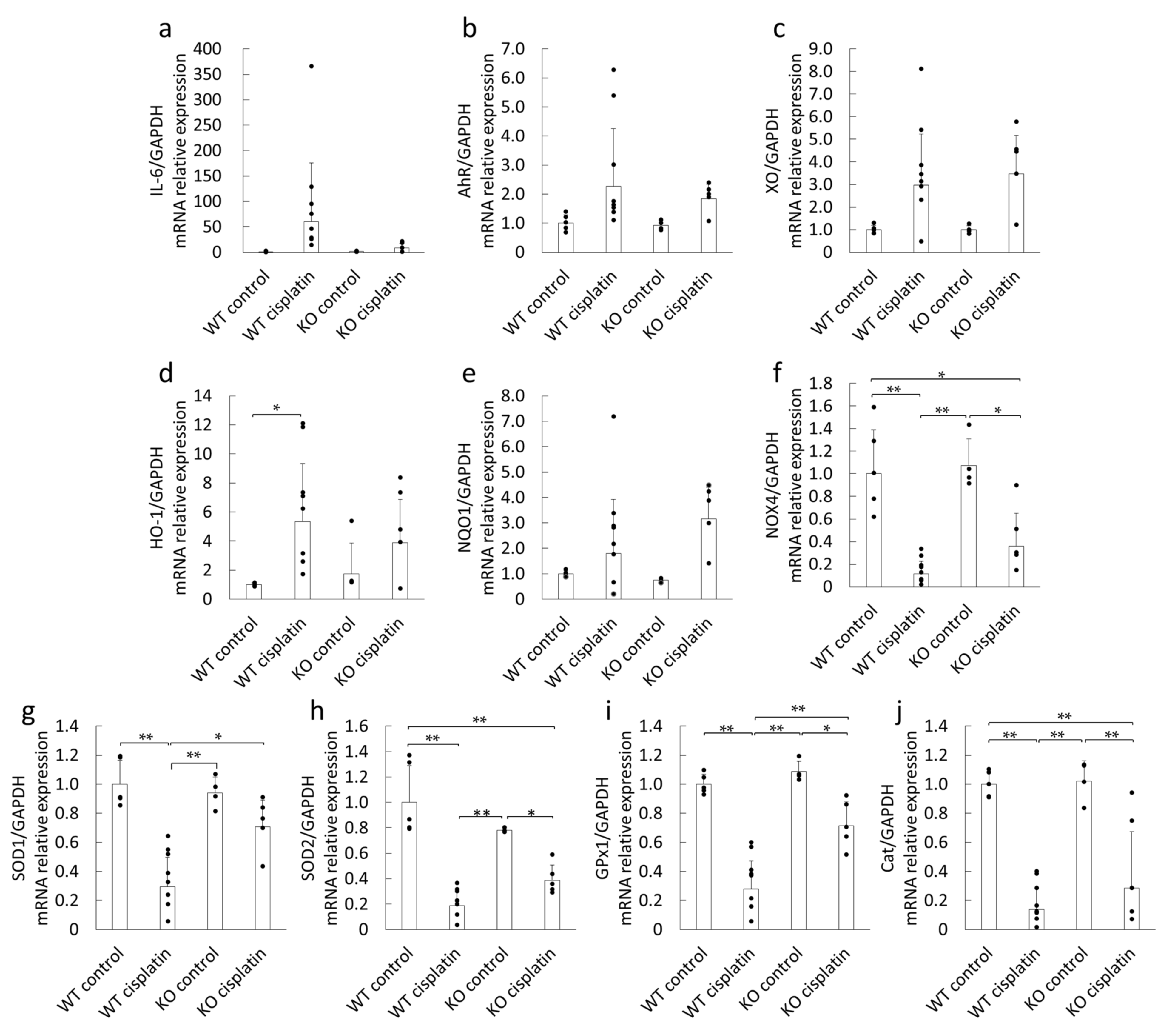 Ijms 22 01764 g004 Ijms 22 01764 g004