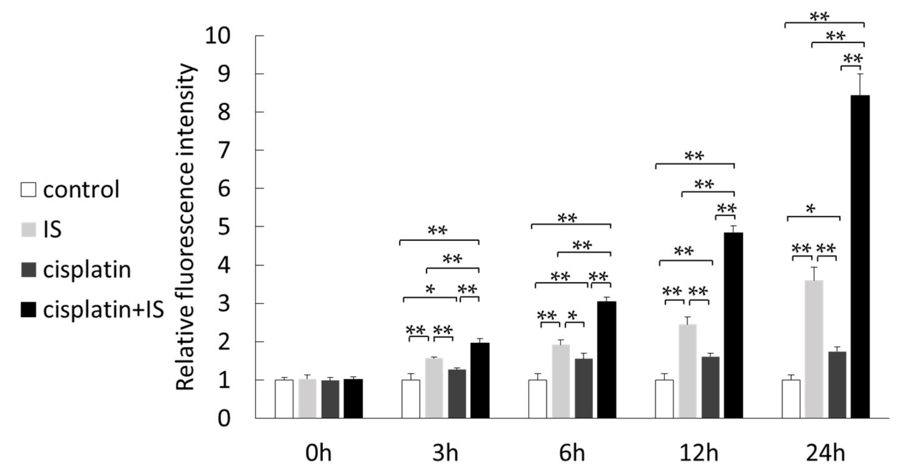 Ijms 22 01764 g006 Ijms 22 01764 g006