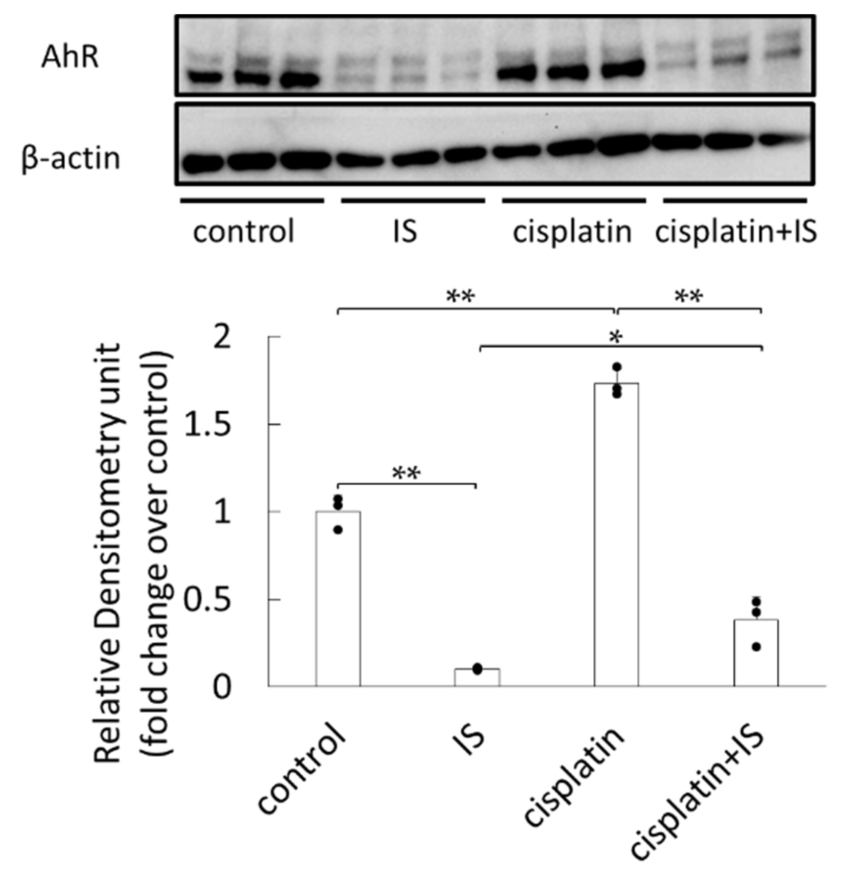 Ijms 22 01764 g007 Ijms 22 01764 g007
