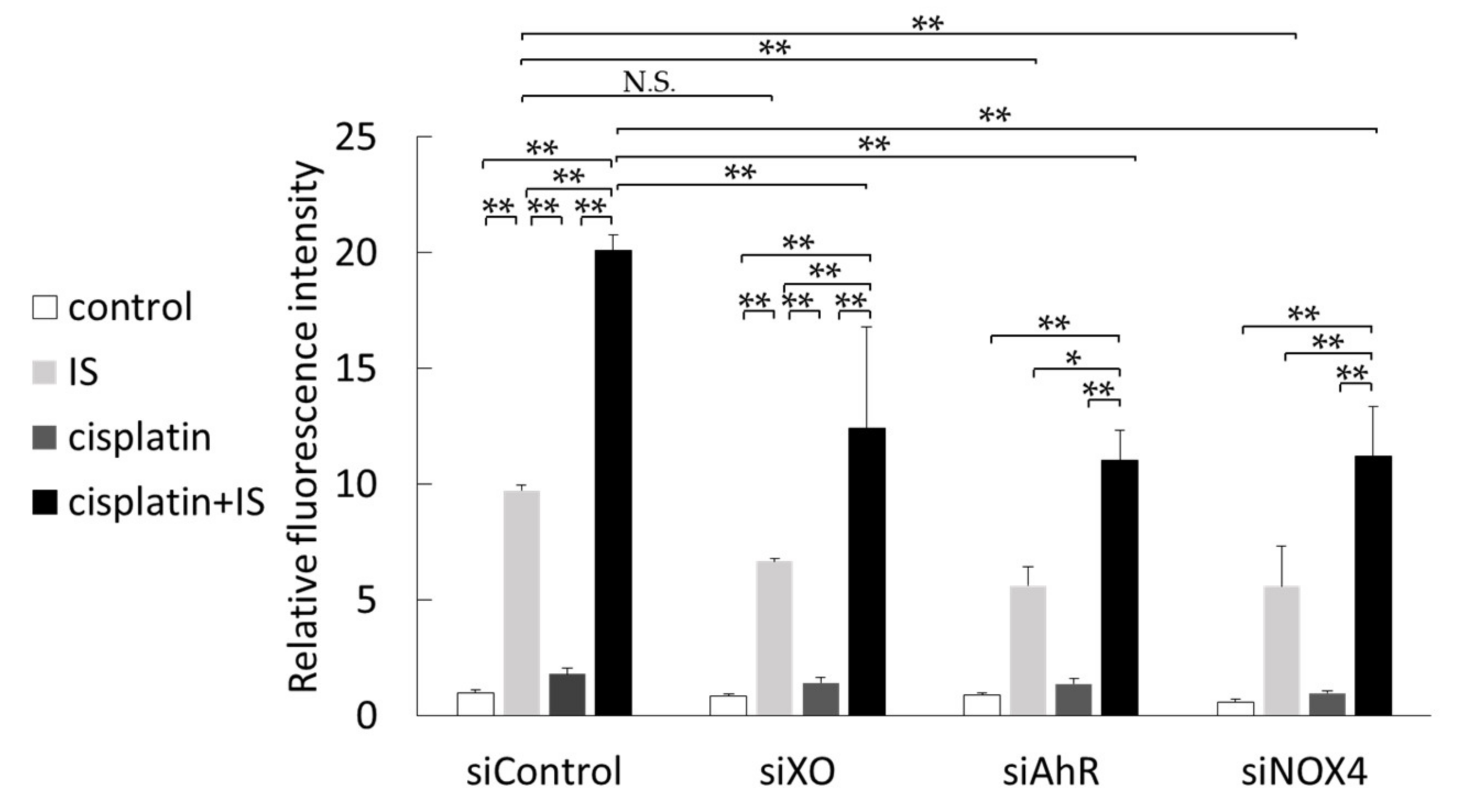 Ijms 22 01764 g008 Ijms 22 01764 g008
