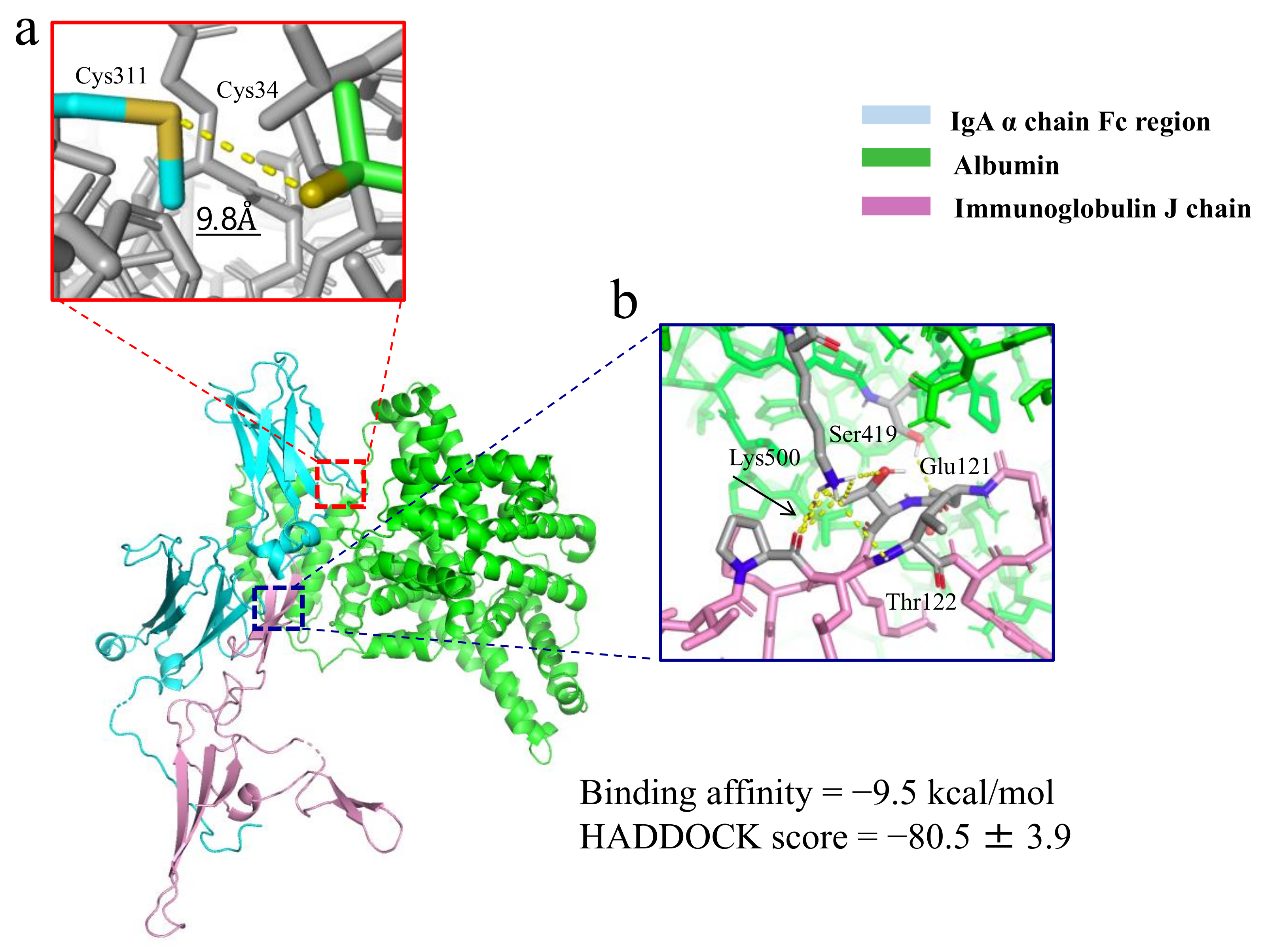 Ijms 22 01766 g003 Ijms 22 01766 g003