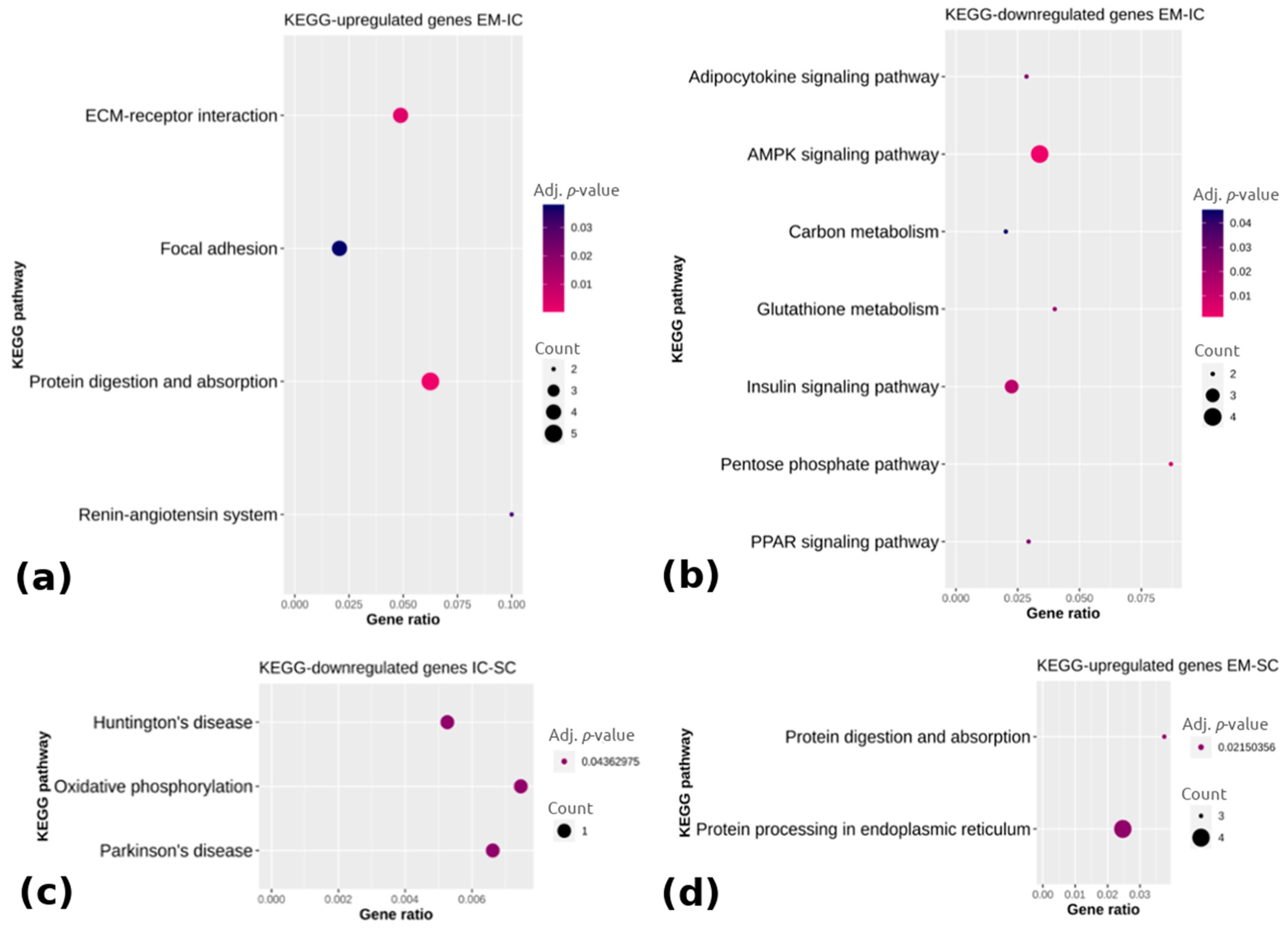 Ijms 22 01768 g004 Ijms 22 01768 g004