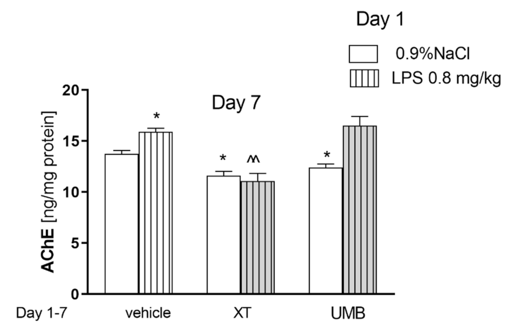 Ijms 22 01779 g004 550