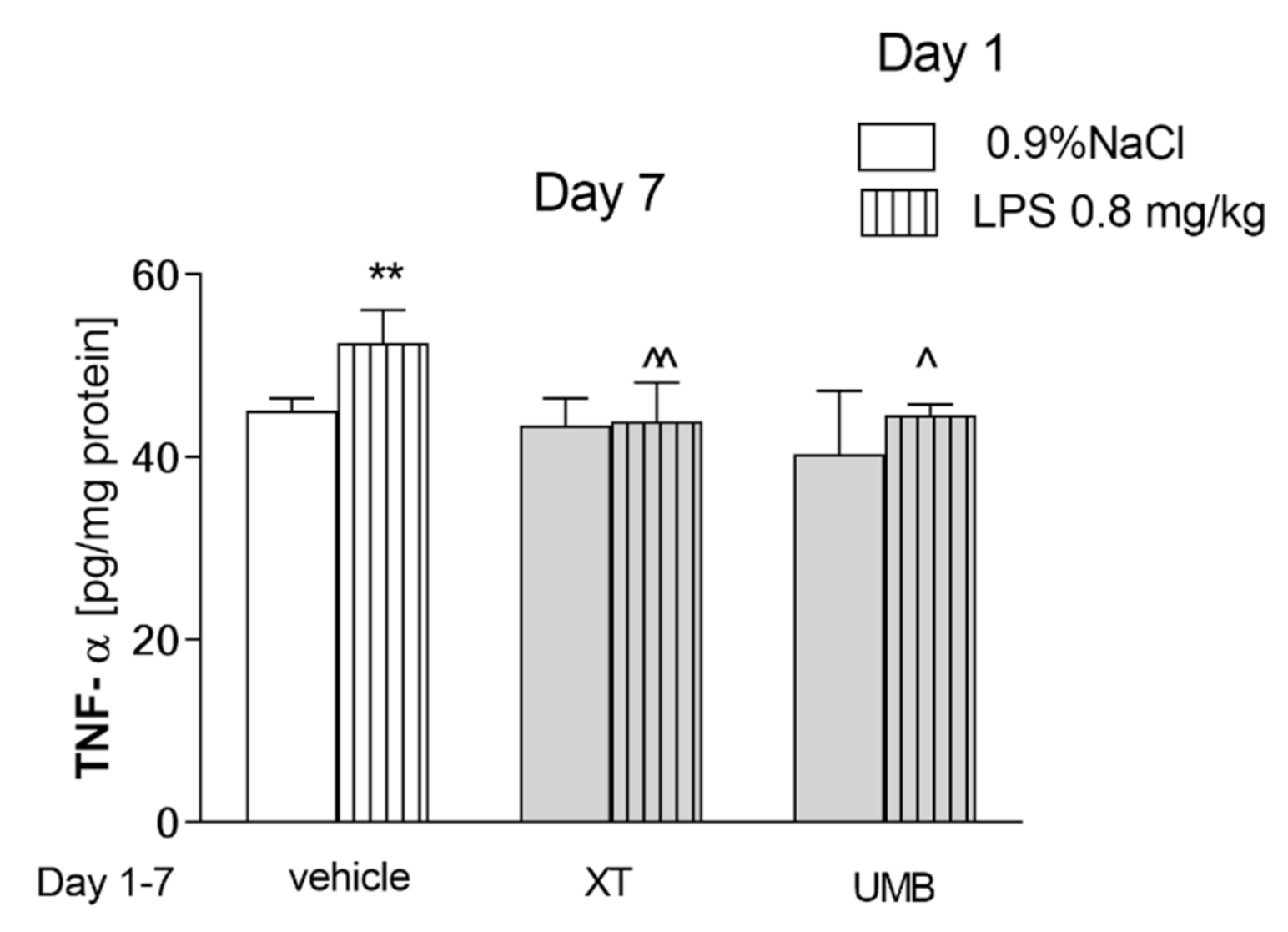 Ijms 22 01779 g005 550