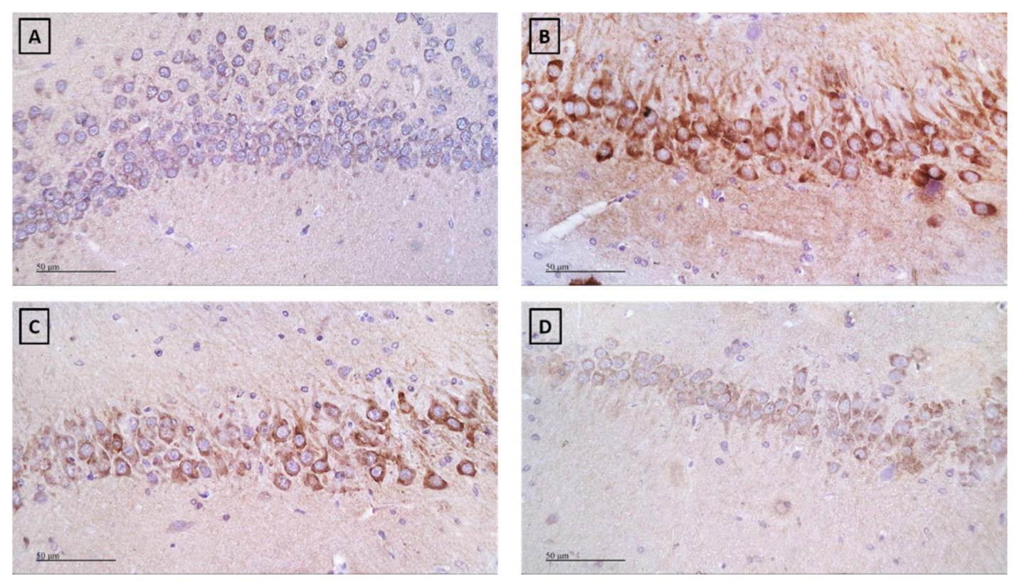 Ijms 22 01779 g007 550