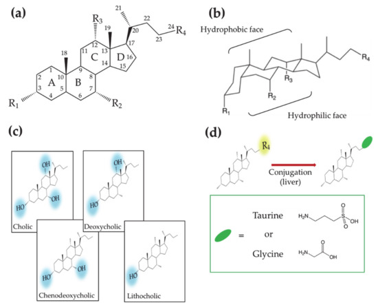 Ijms 22 01780 g001 550