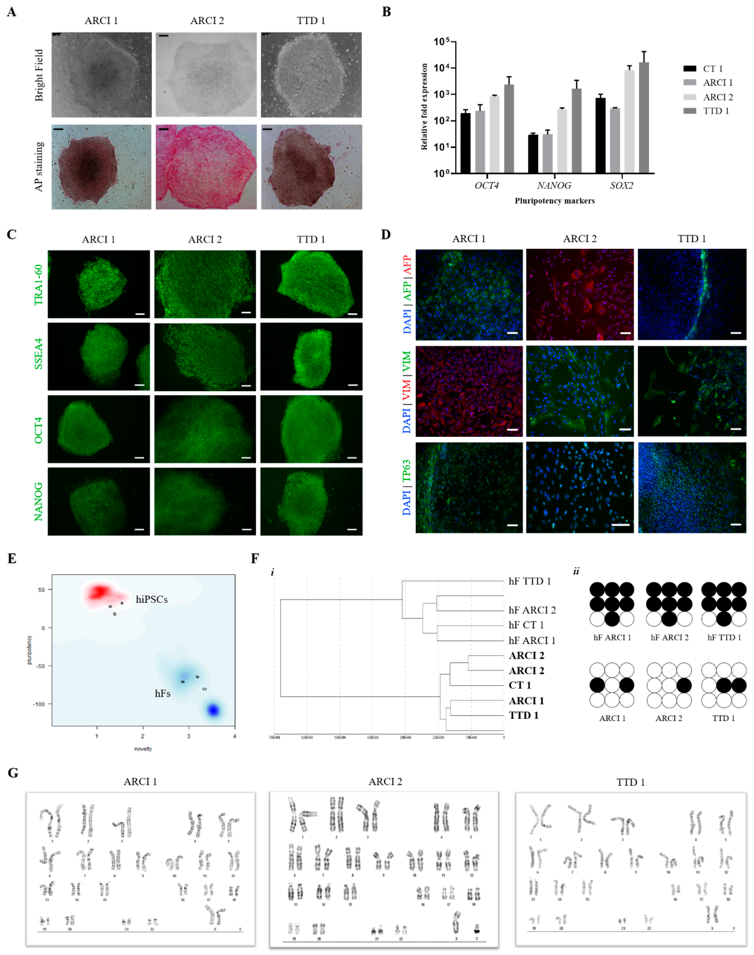 Ijms 22 01785 g001 Ijms 22 01785 g001