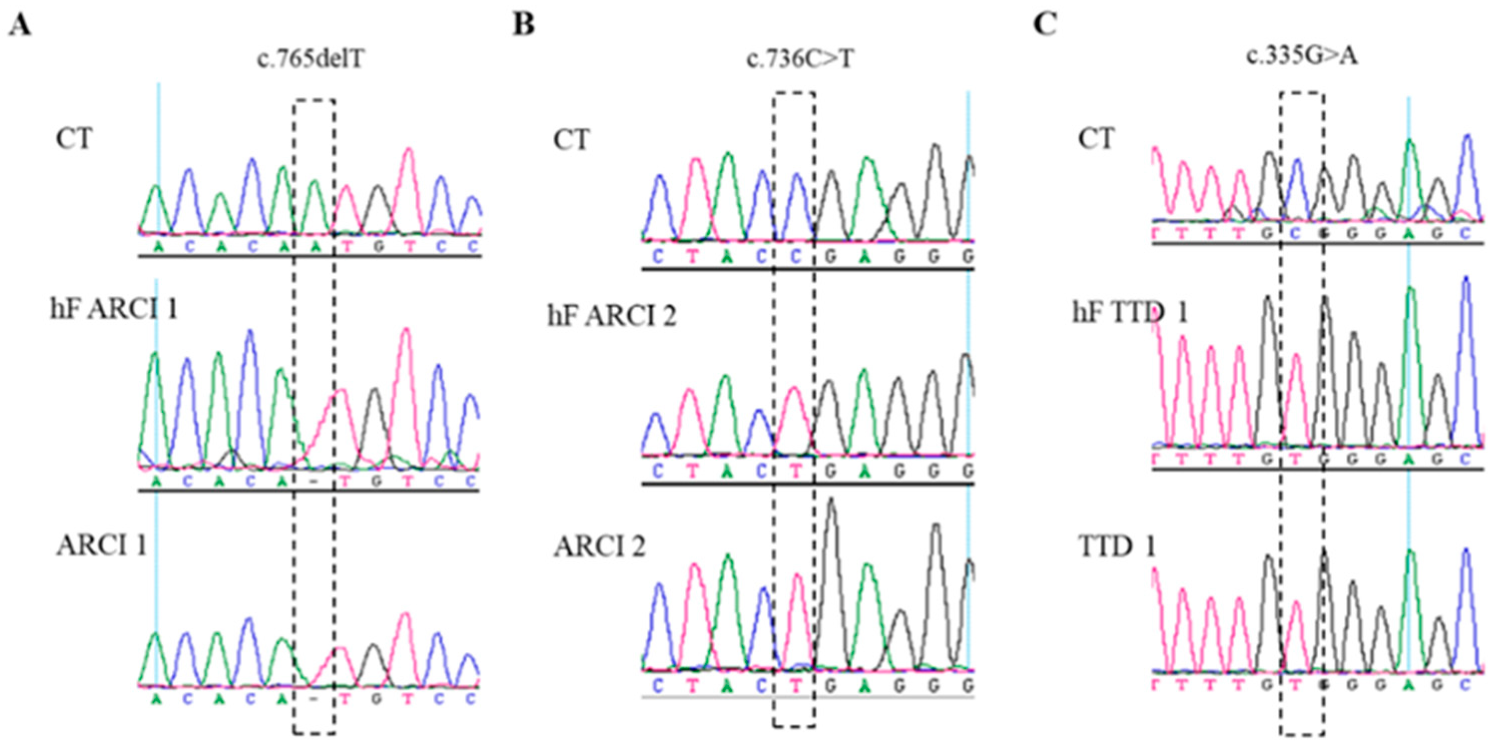 Ijms 22 01785 g002 Ijms 22 01785 g002