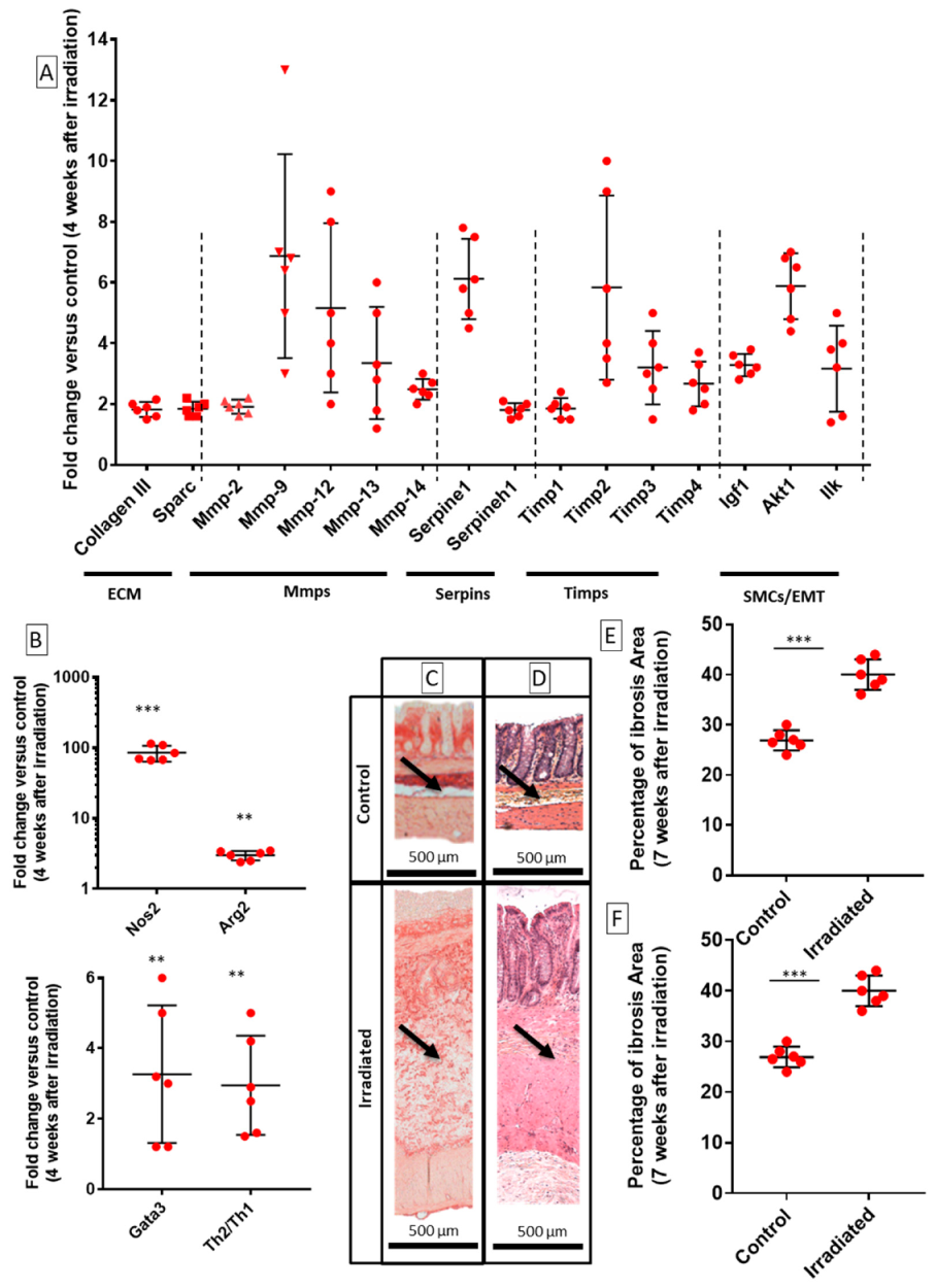 Ijms 22 01790 g001 Ijms 22 01790 g001