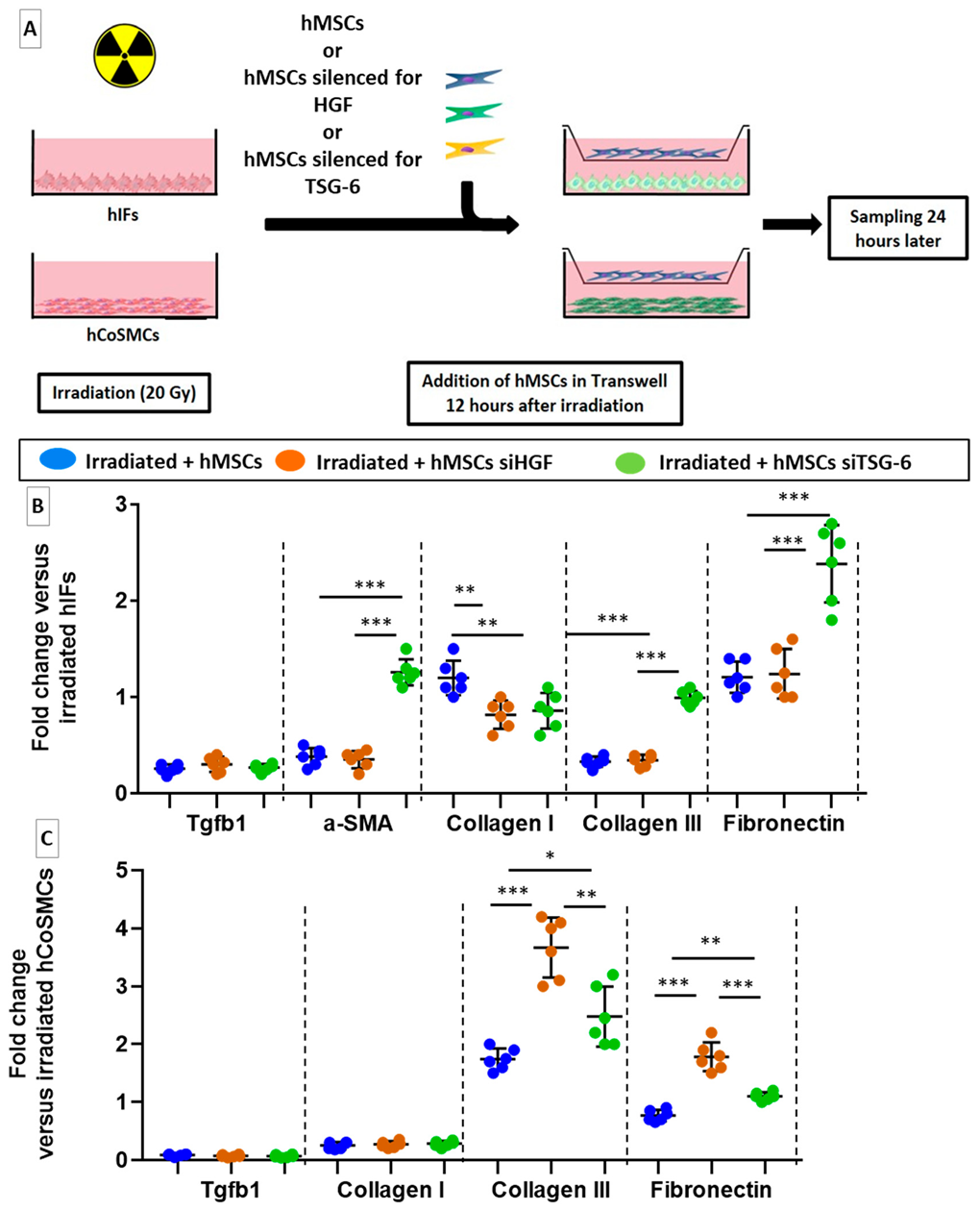 Ijms 22 01790 g003 Ijms 22 01790 g003