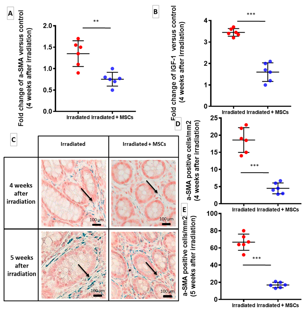 Ijms 22 01790 g004 Ijms 22 01790 g004