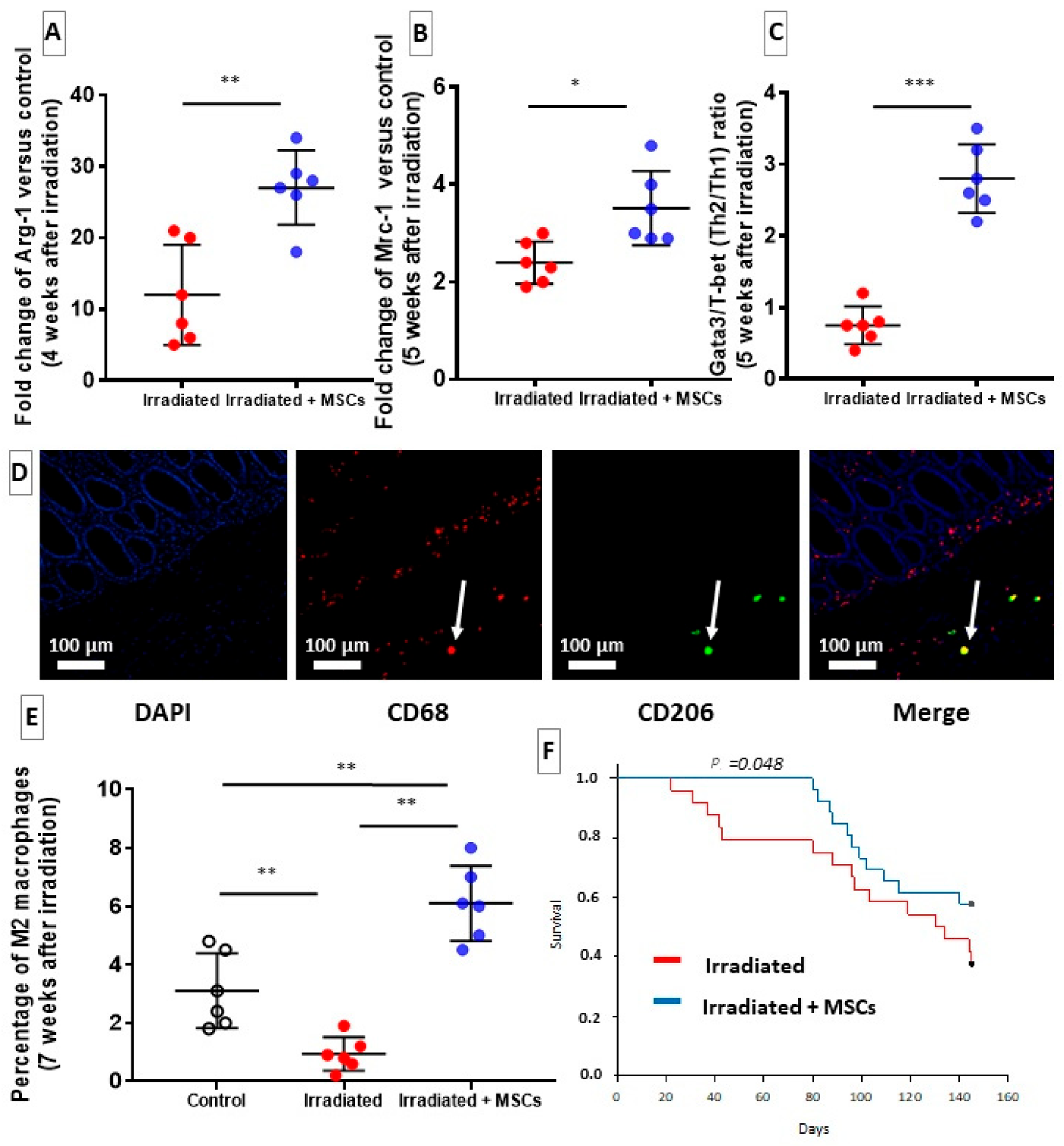 Ijms 22 01790 g005 Ijms 22 01790 g005