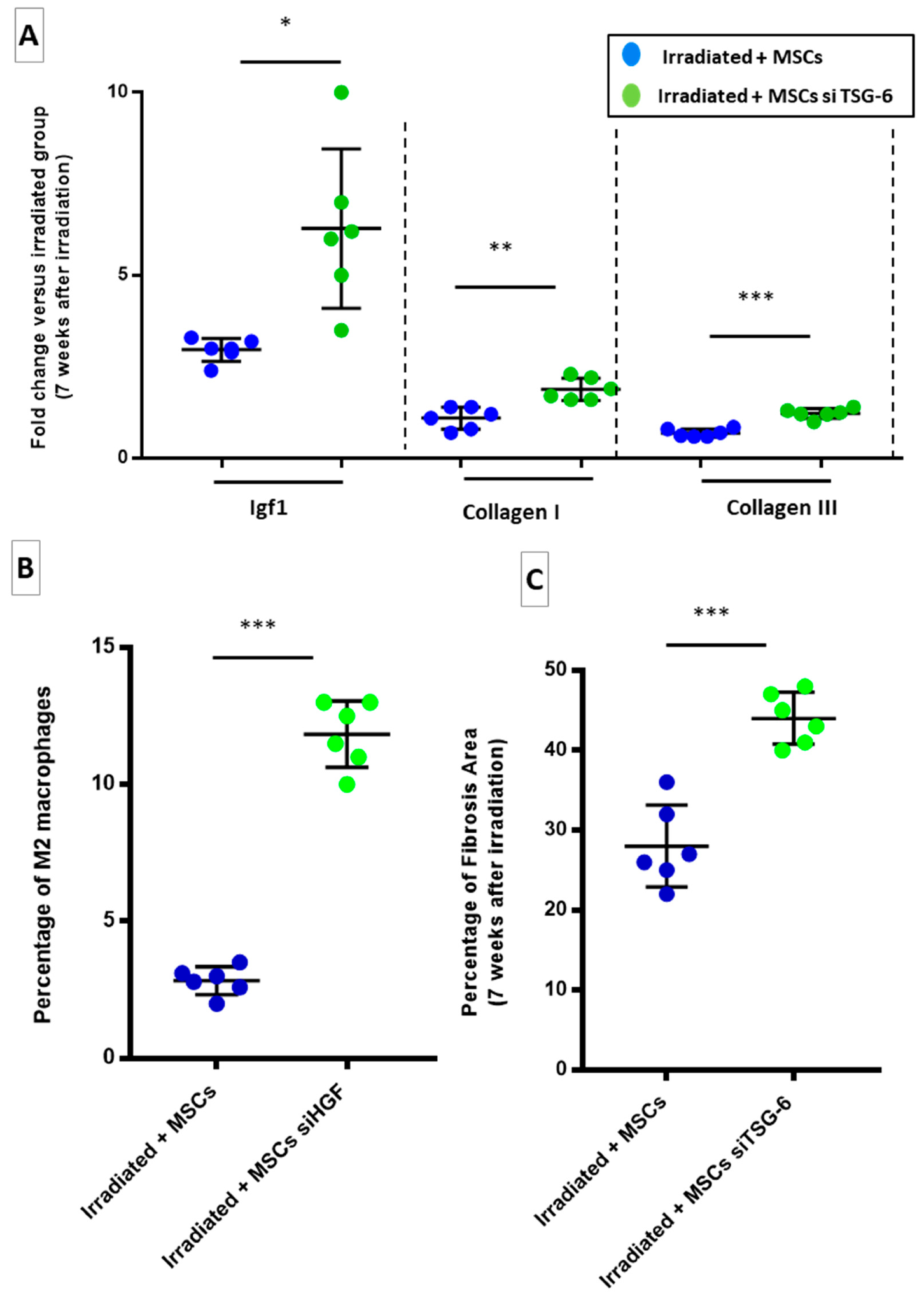 Ijms 22 01790 g007 Ijms 22 01790 g007