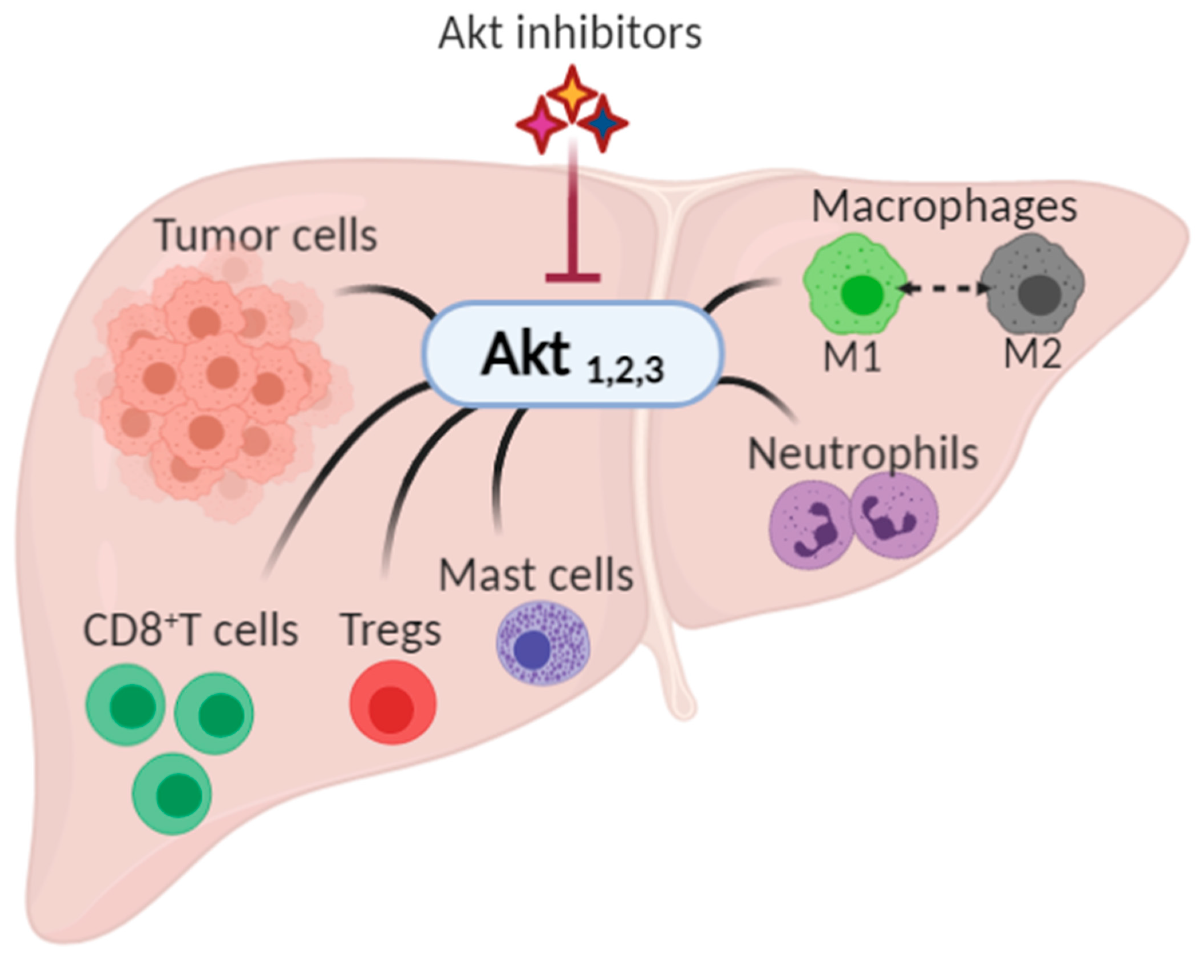 Ijms 22 01794 g001 Ijms 22 01794 g001