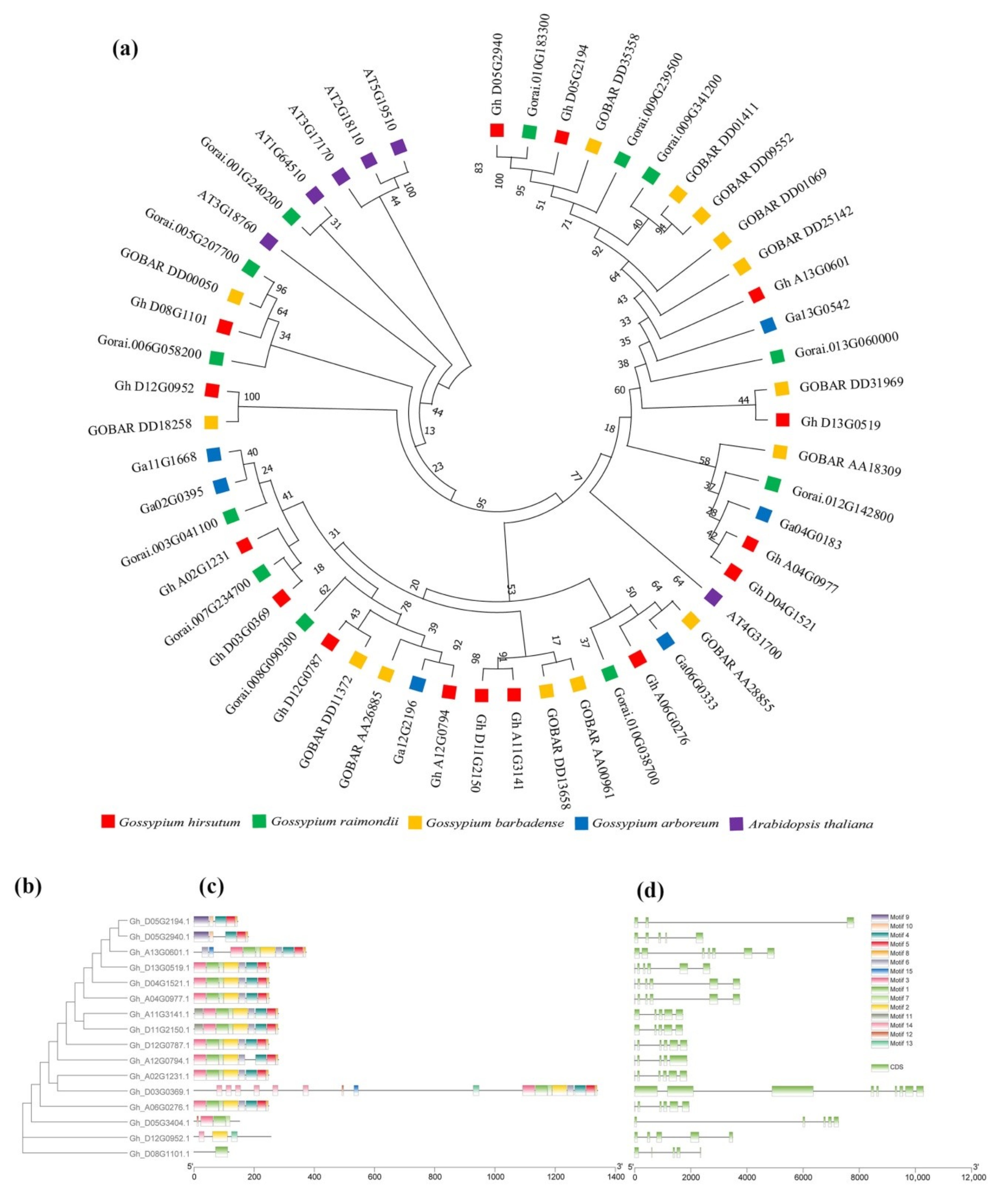 Ijms 22 01795 g001 Ijms 22 01795 g001