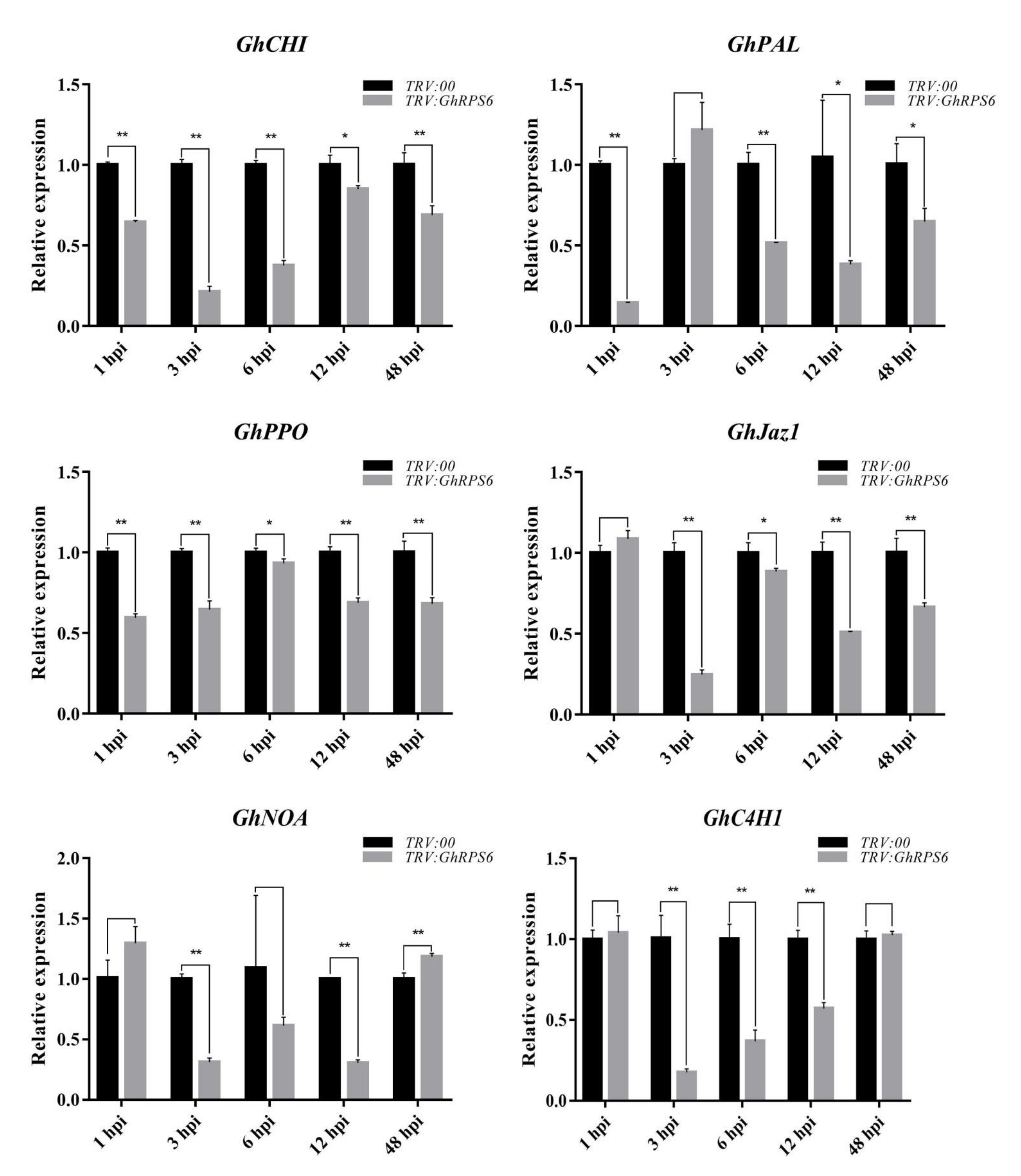 Ijms 22 01795 g003 Ijms 22 01795 g003