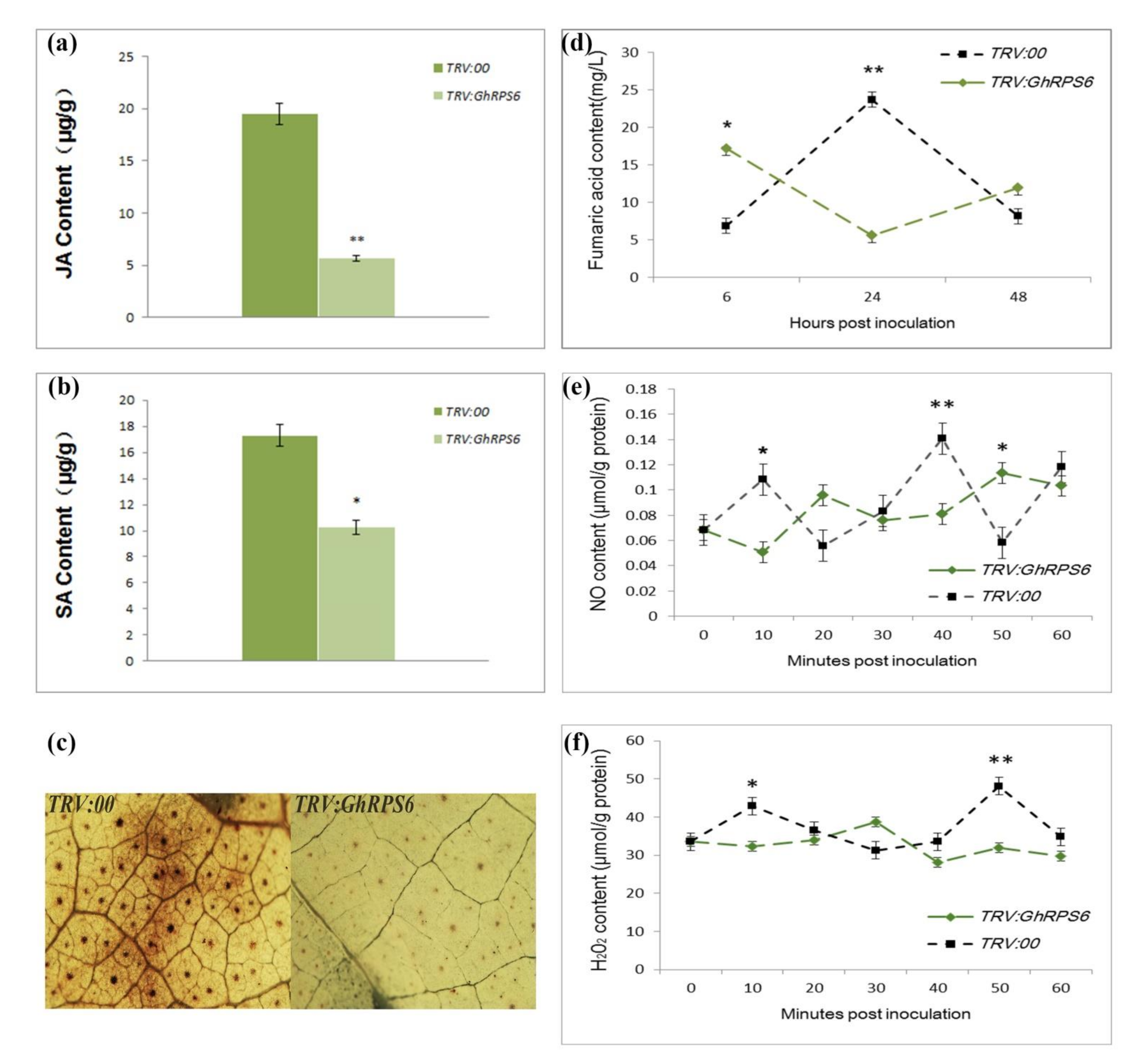 Ijms 22 01795 g004 Ijms 22 01795 g004