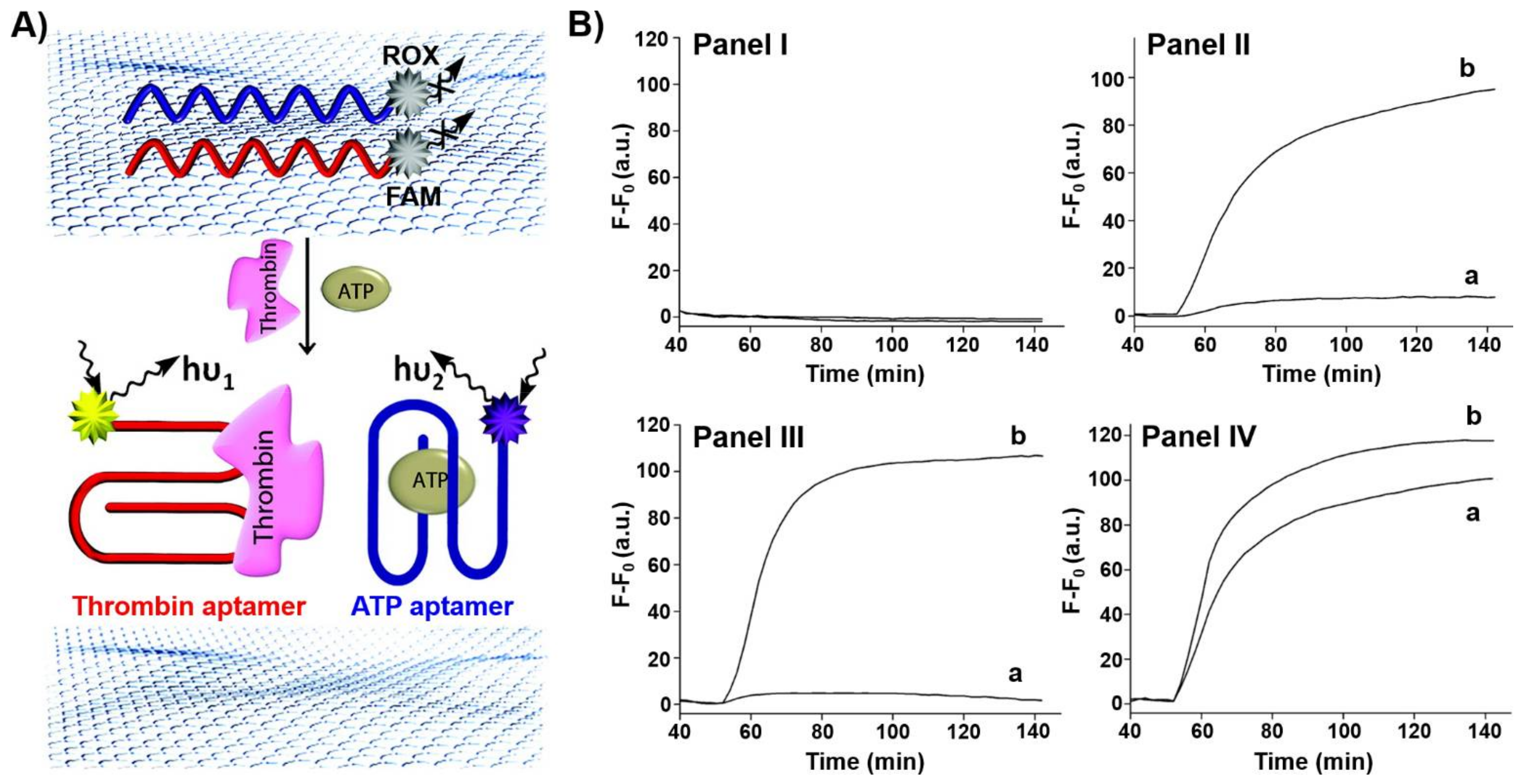 Aptamer-Functionalized Hybrid Nanostructures for Sensing, Drug Delivery,  Catalysis and Mechanical Applications