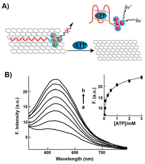 Aptamer-Functionalized Hybrid Nanostructures for Sensing