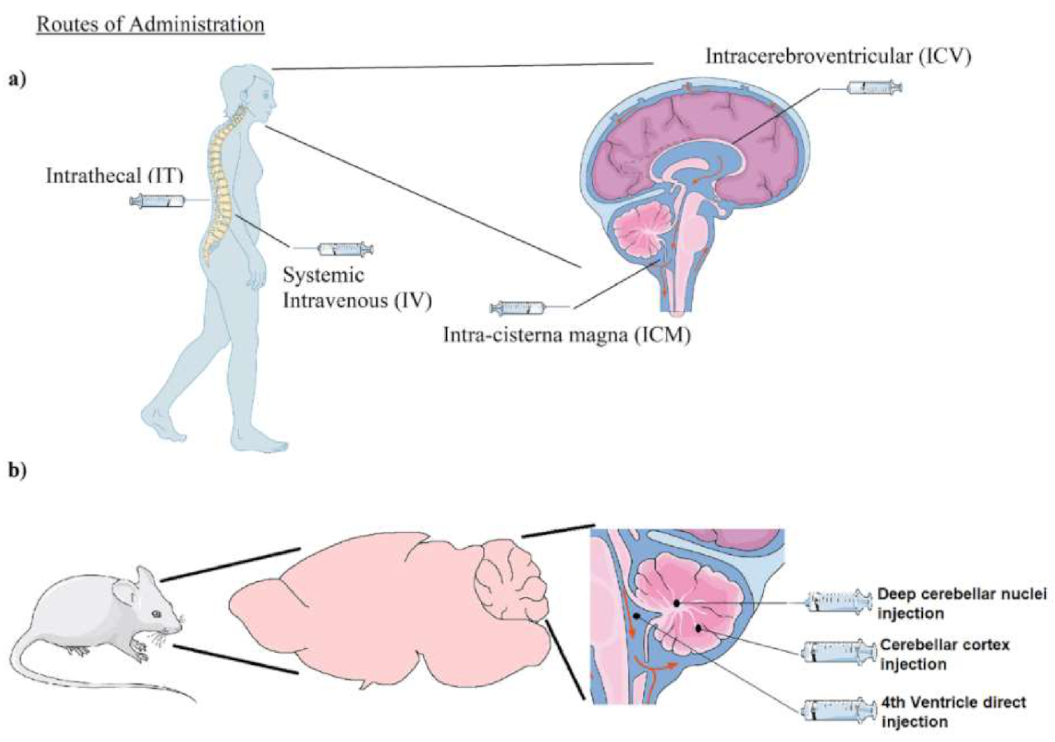 Ijms 22 01815 g001 Ijms 22 01815 g001
