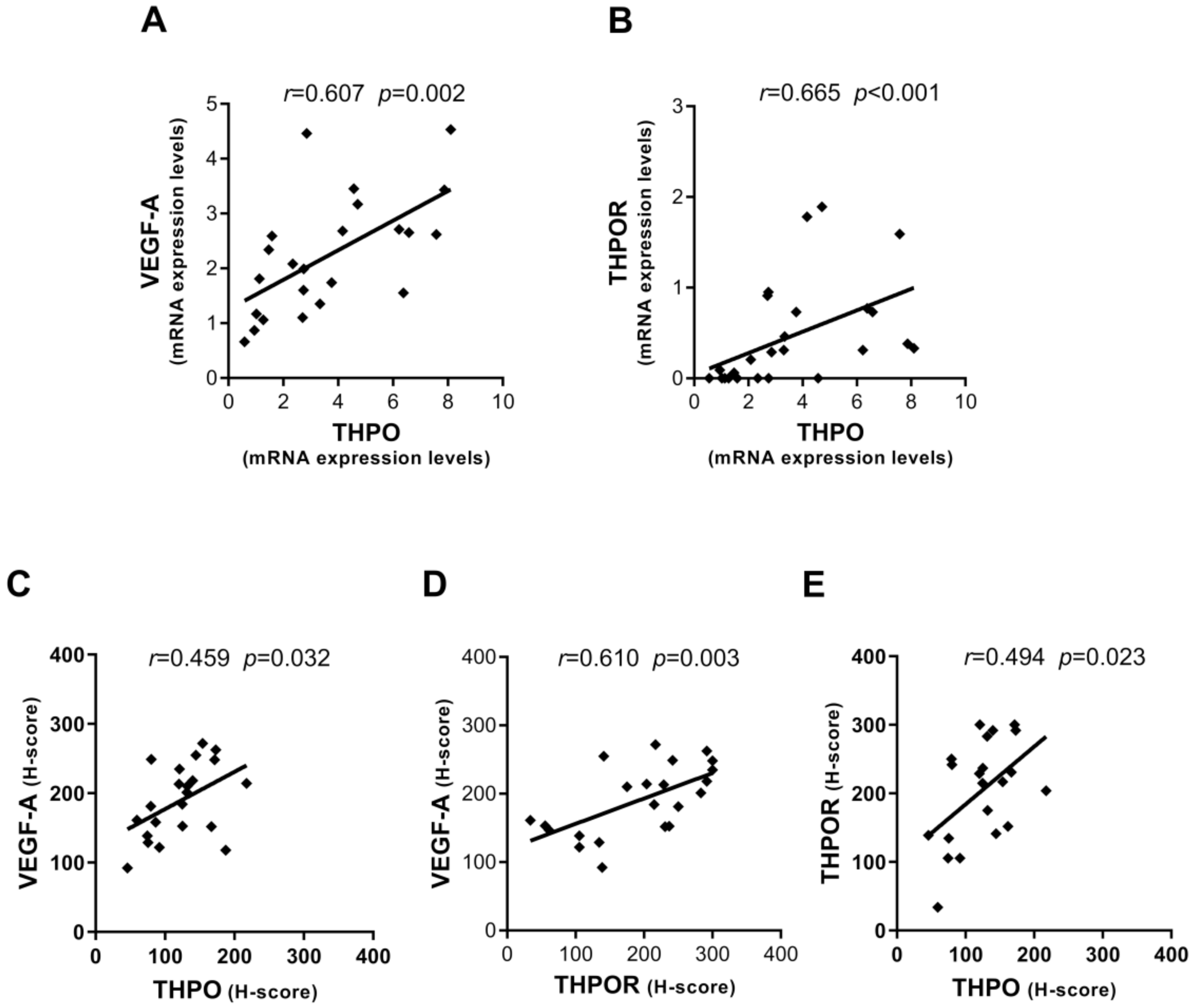 Ijms 22 01818 g005 Ijms 22 01818 g005