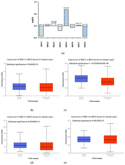 Ijms Free Full Text The Birc Family Genes Expression In Patients With Triple Negative Breast Cancer Html Ijms Free Full Text The Birc Family Genes Expression In Patients With Triple Negative Breast Cancer Html