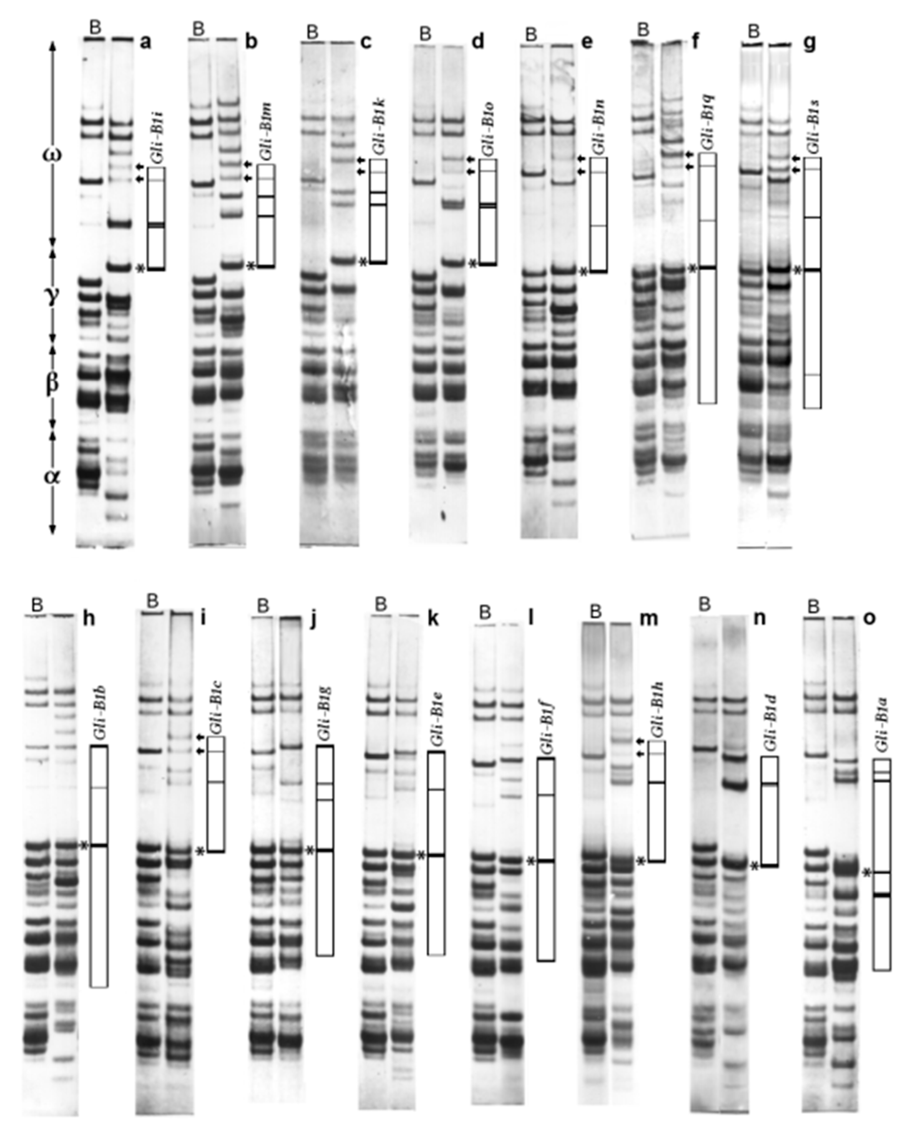 Ijms 22 01832 g001 Ijms 22 01832 g001