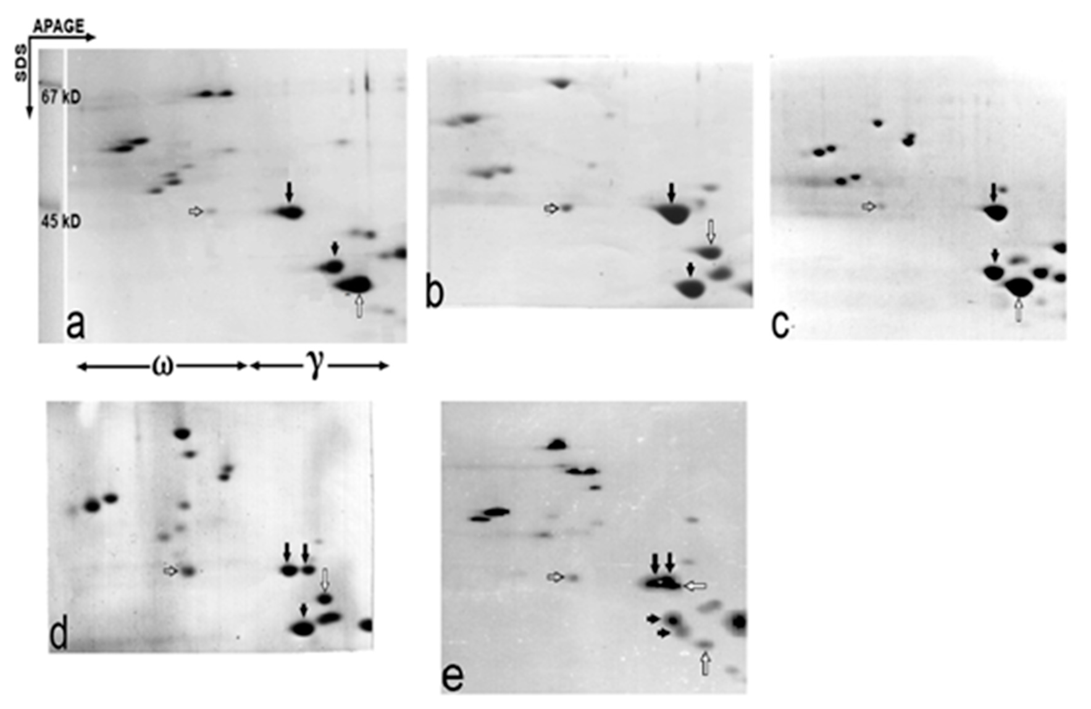 Ijms 22 01832 g002 Ijms 22 01832 g002