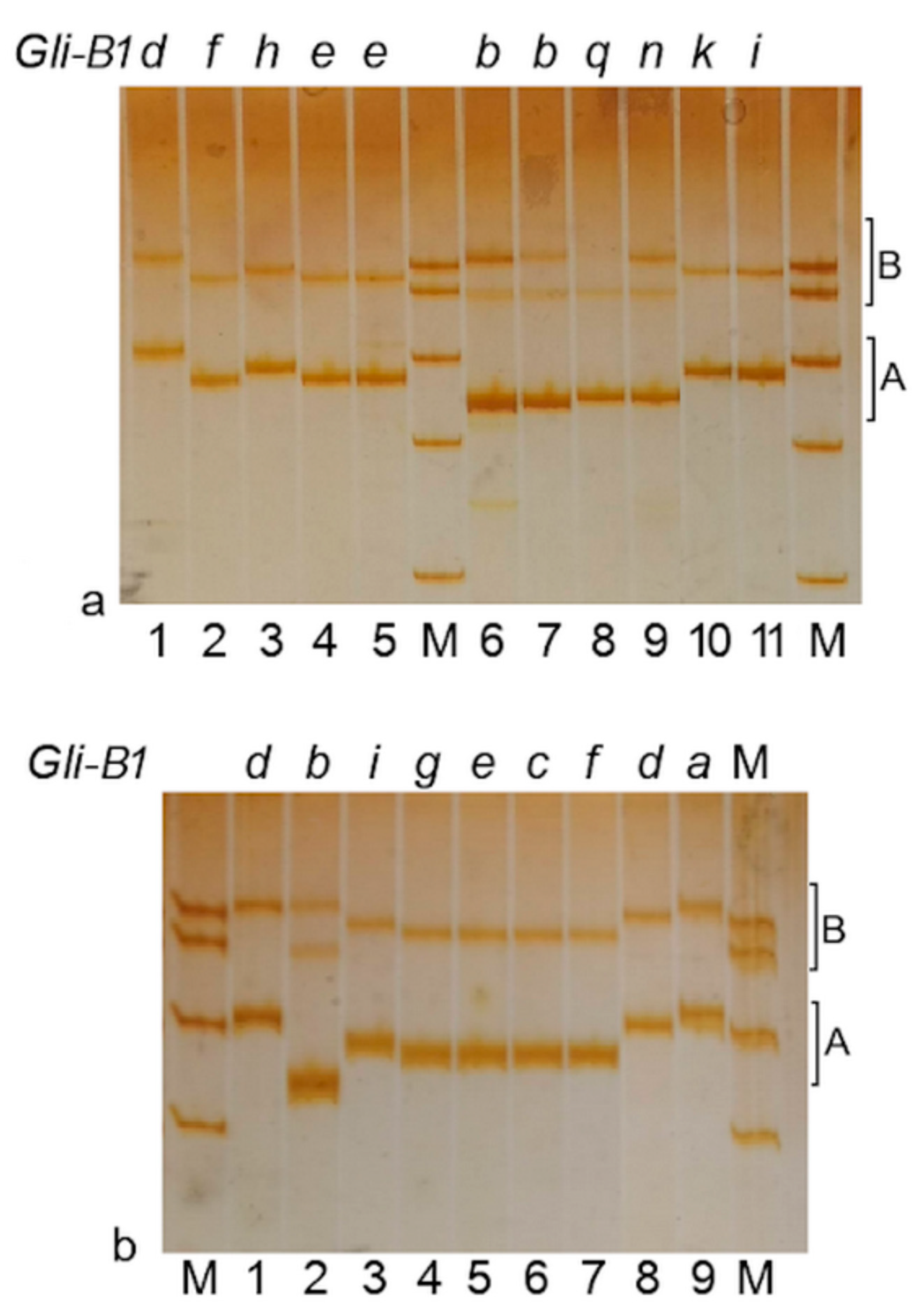 Ijms 22 01832 g004 Ijms 22 01832 g004