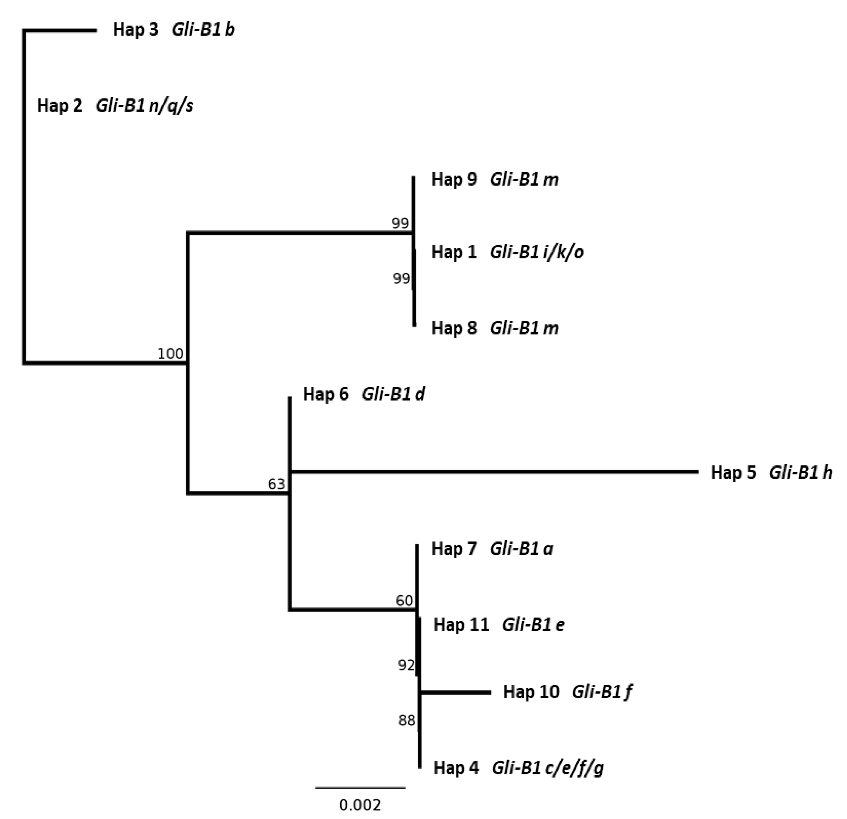 Ijms 22 01832 g006 Ijms 22 01832 g006