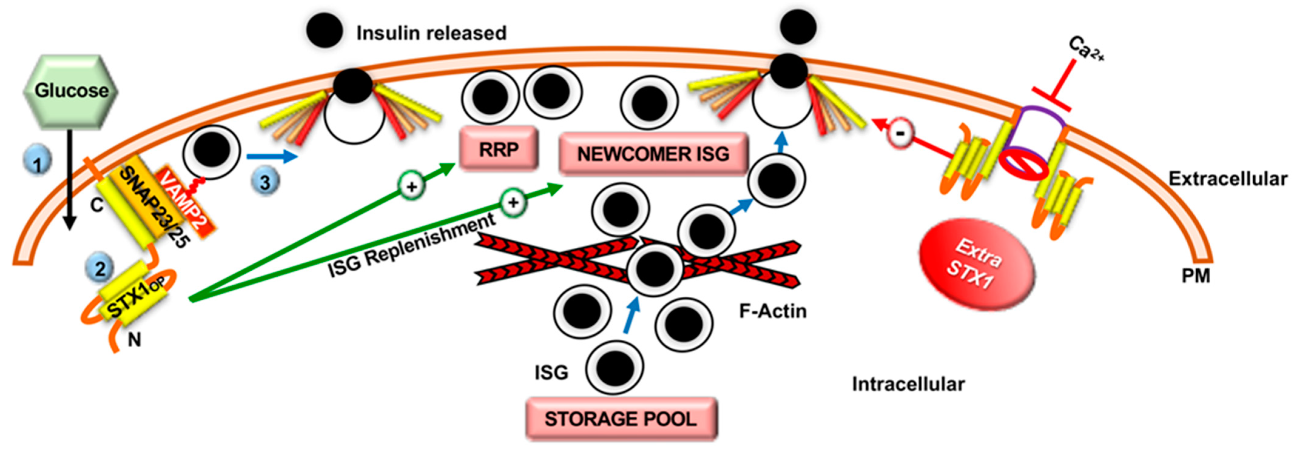 Ijms 22 01833 g002 Ijms 22 01833 g002