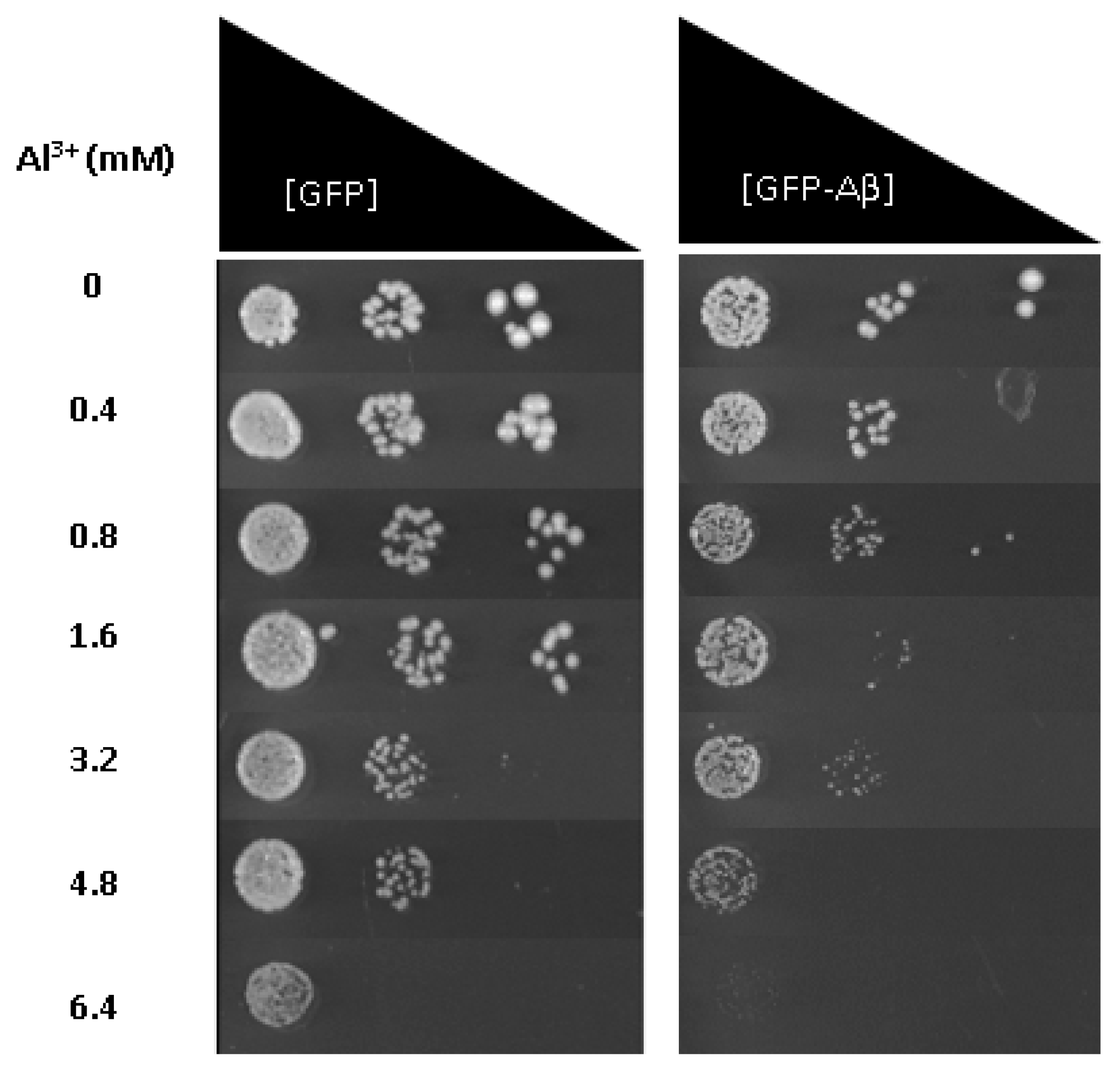 Ijms 22 01835 g003 Ijms 22 01835 g003