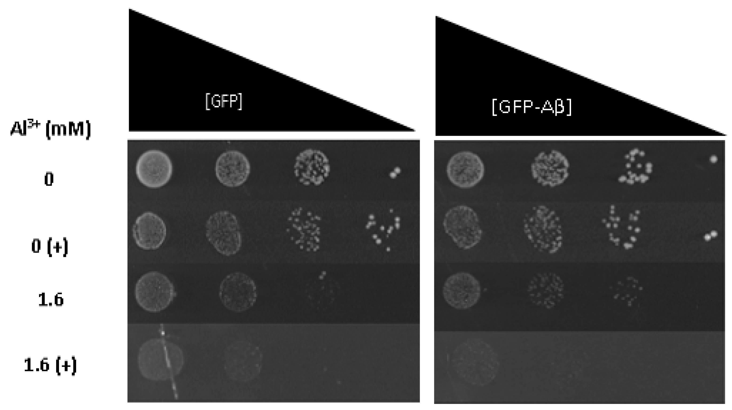 Ijms 22 01835 g004 Ijms 22 01835 g004