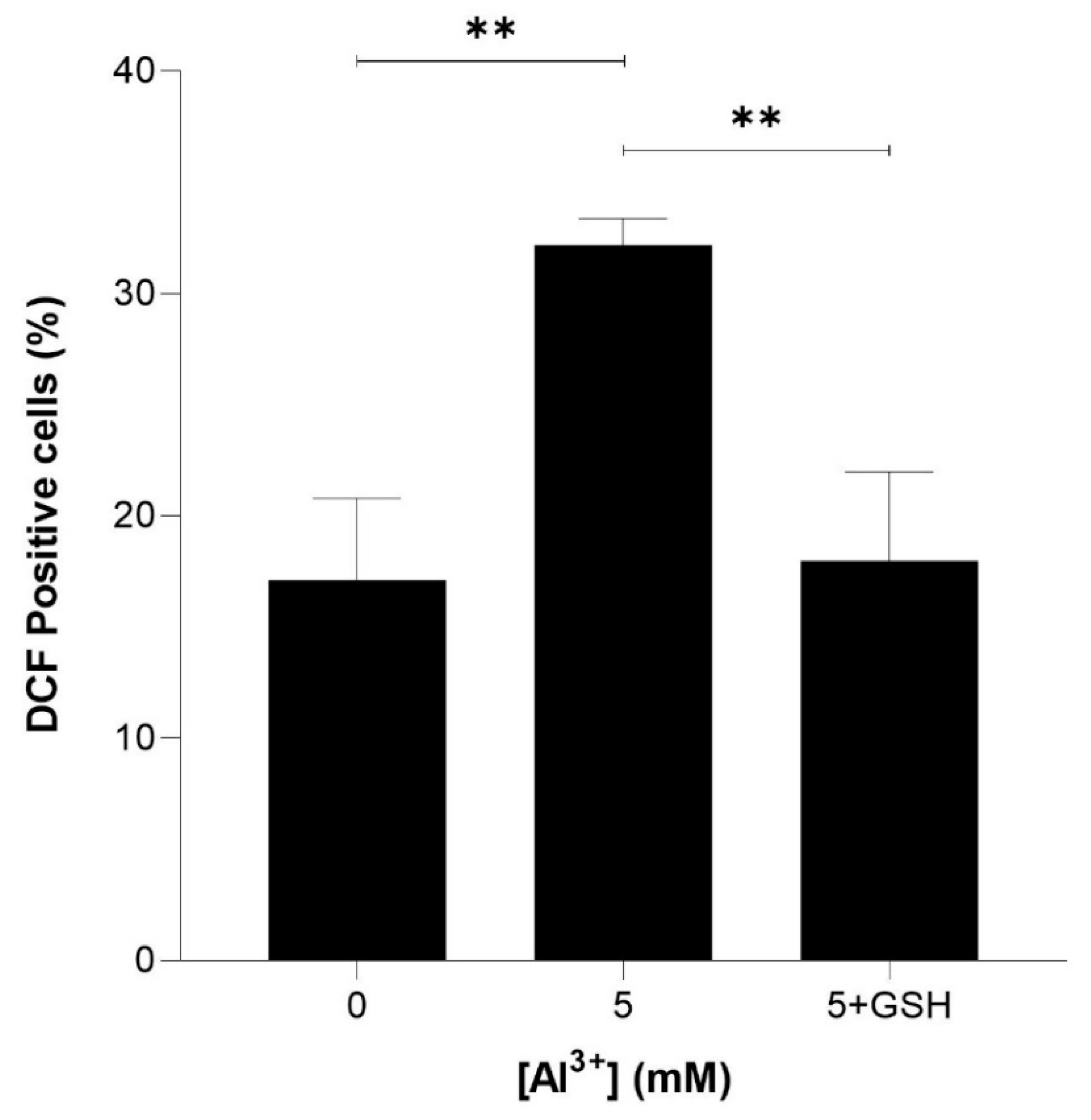 Ijms 22 01835 g006 Ijms 22 01835 g006