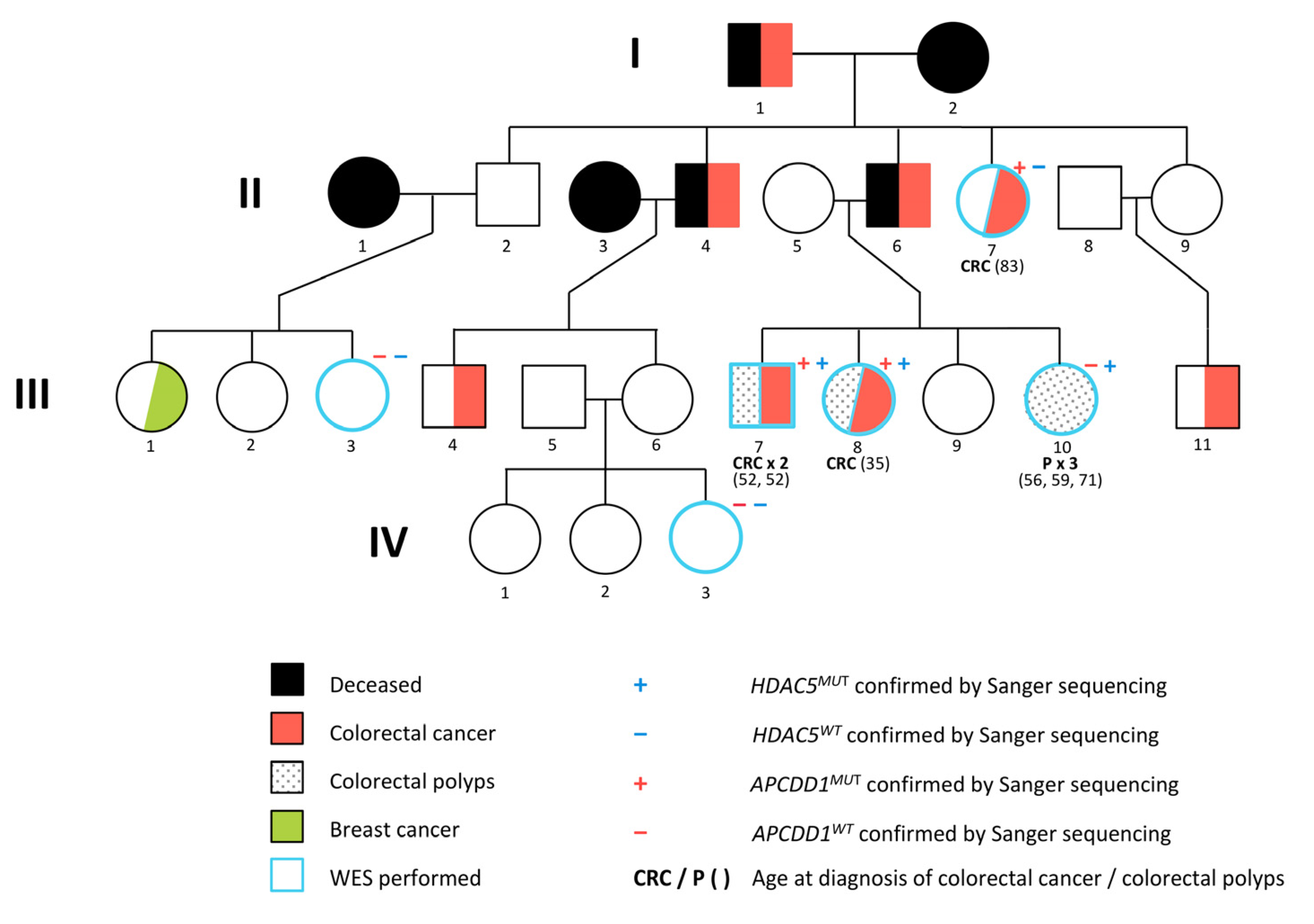 Ijms Free Full Text Whole Exome Sequencing Identifies Apcdd1 And Hdac5 Genes As Potentially Cancer Predisposing In Familial Colorectal Cancer Html