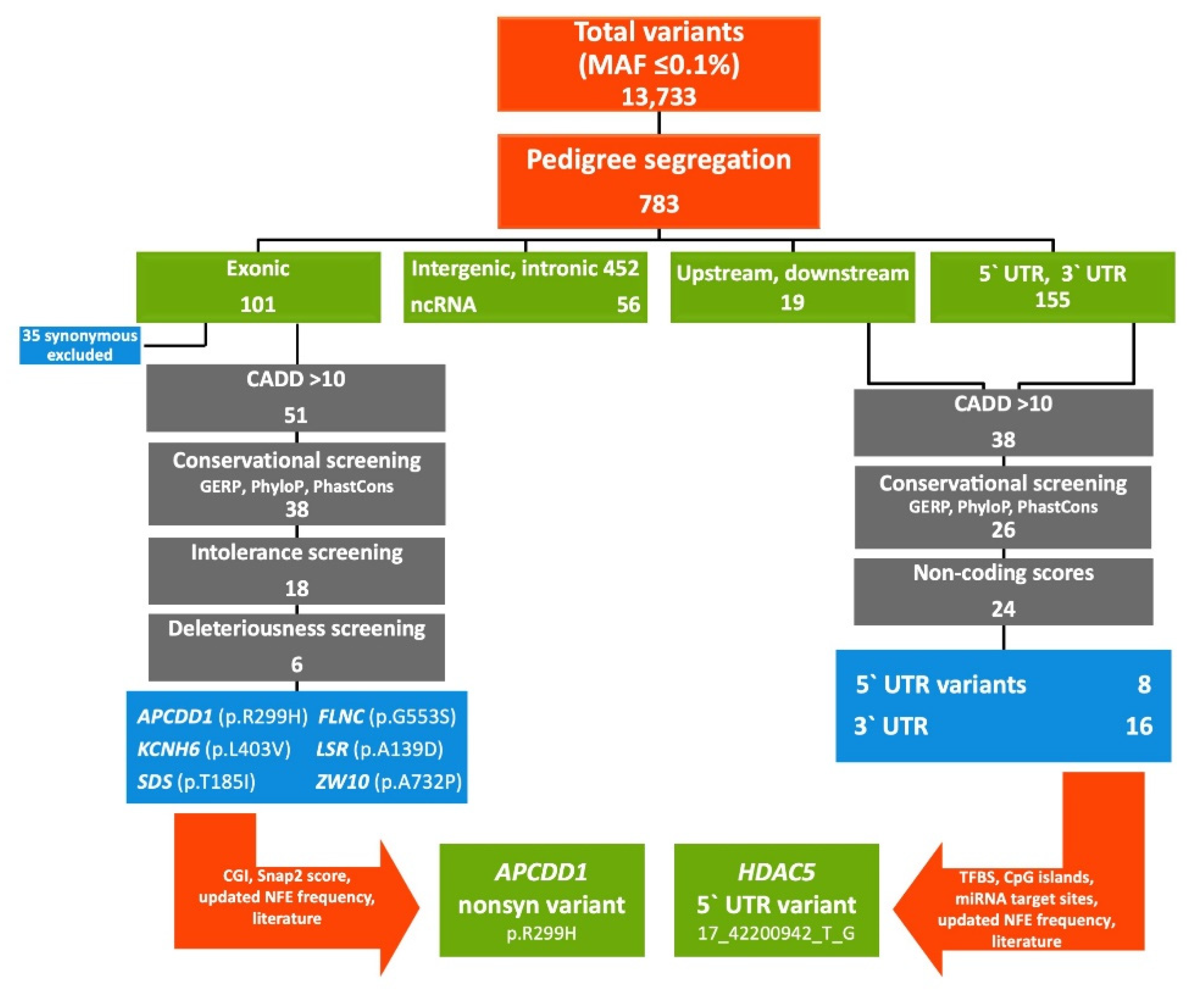 Ijms 22 01837 g002 Ijms 22 01837 g002