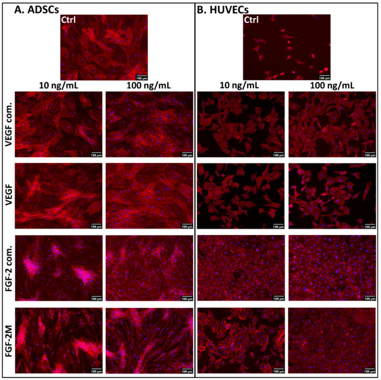 Ijms 22 01843 g002 Ijms 22 01843 g002
