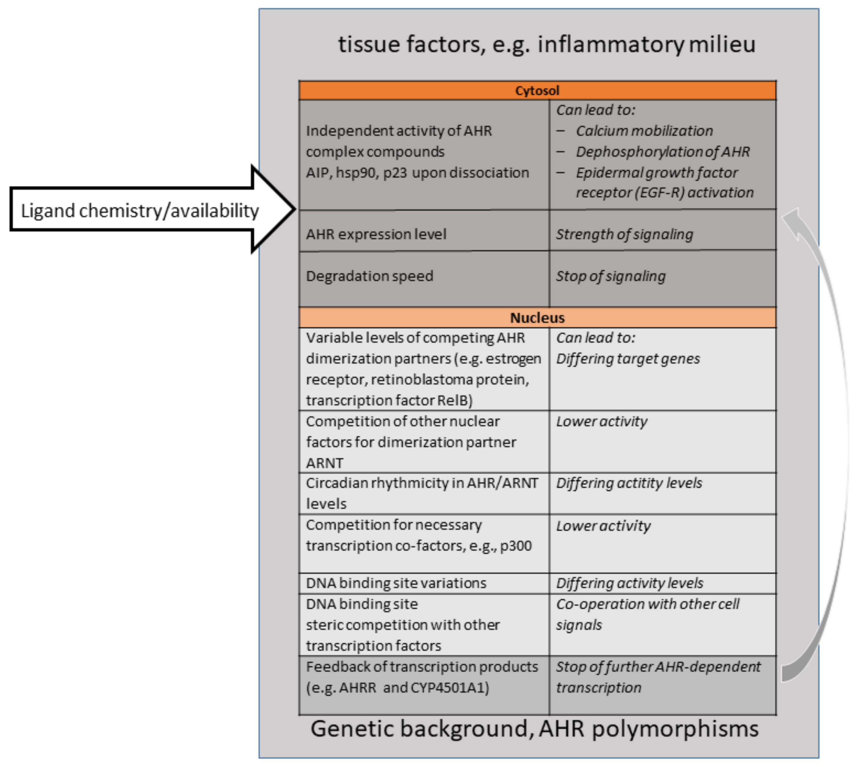 Ijms 22 01844 g001 Ijms 22 01844 g001