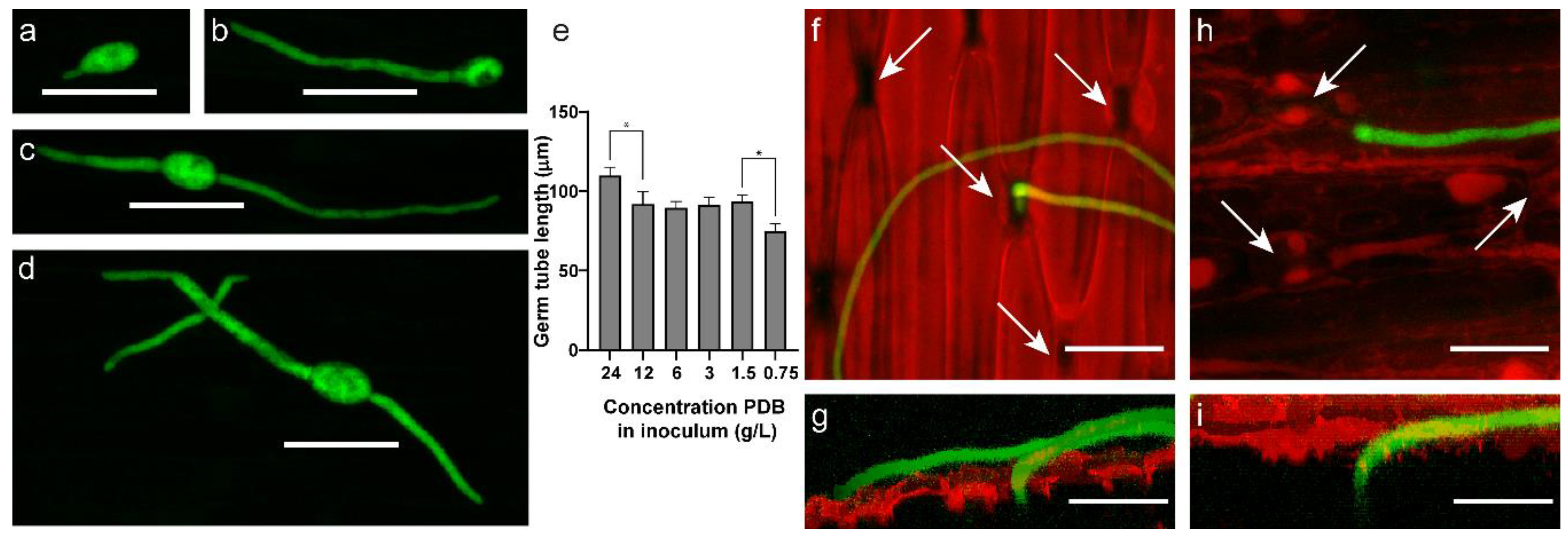 Ijms 22 01865 g002 Ijms 22 01865 g002