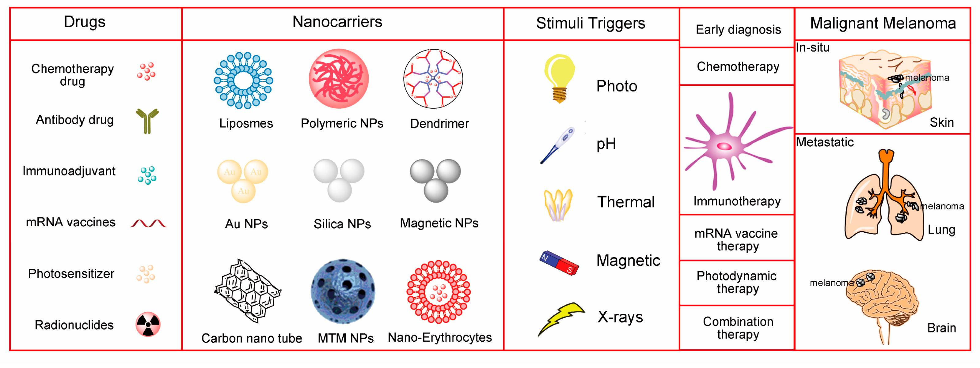 IJMS Free Full-Text Nanocarrier-Based Drug Delivery for Melanoma Therapeutics