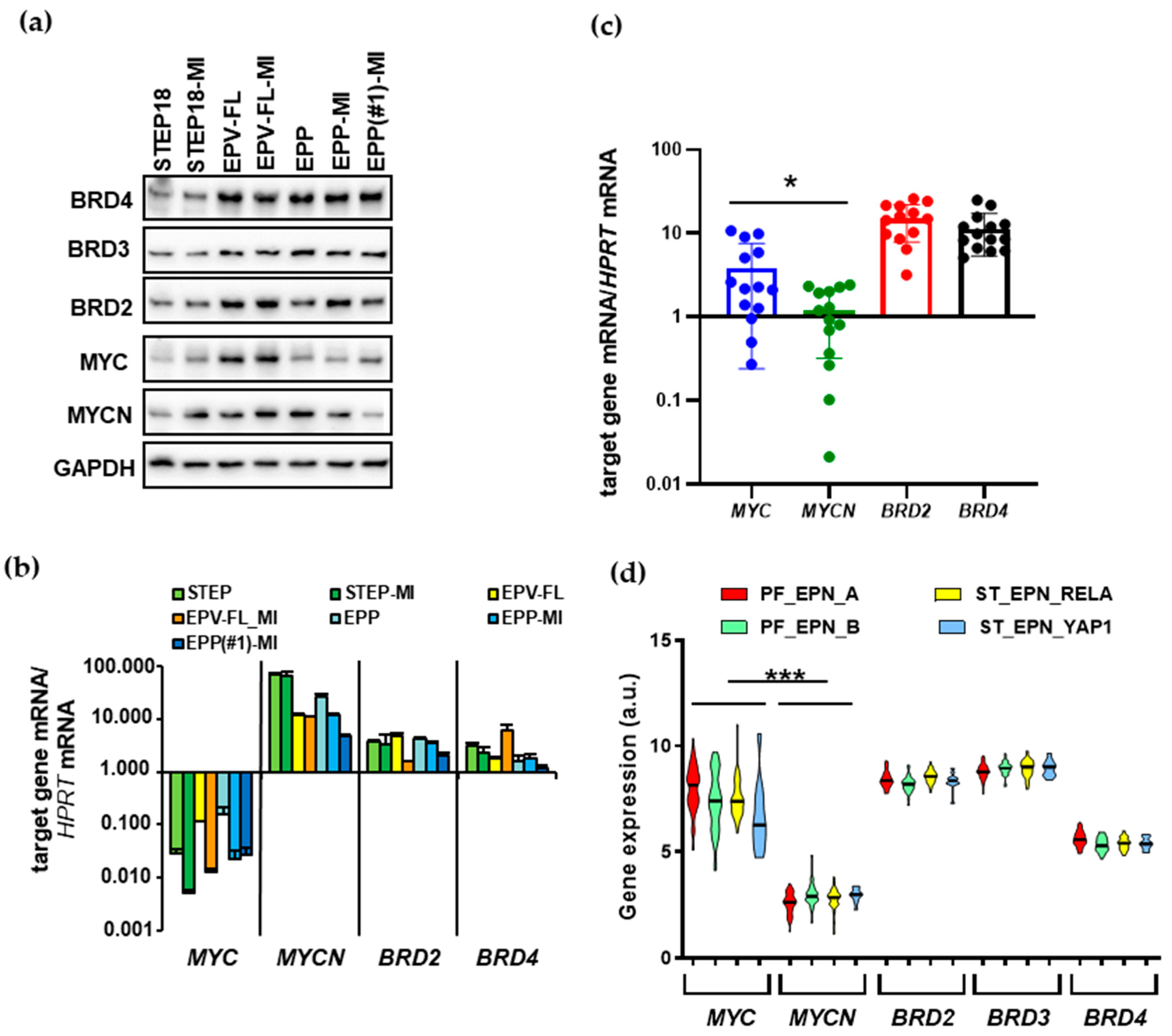 Ijms 22 01877 g001 Ijms 22 01877 g001