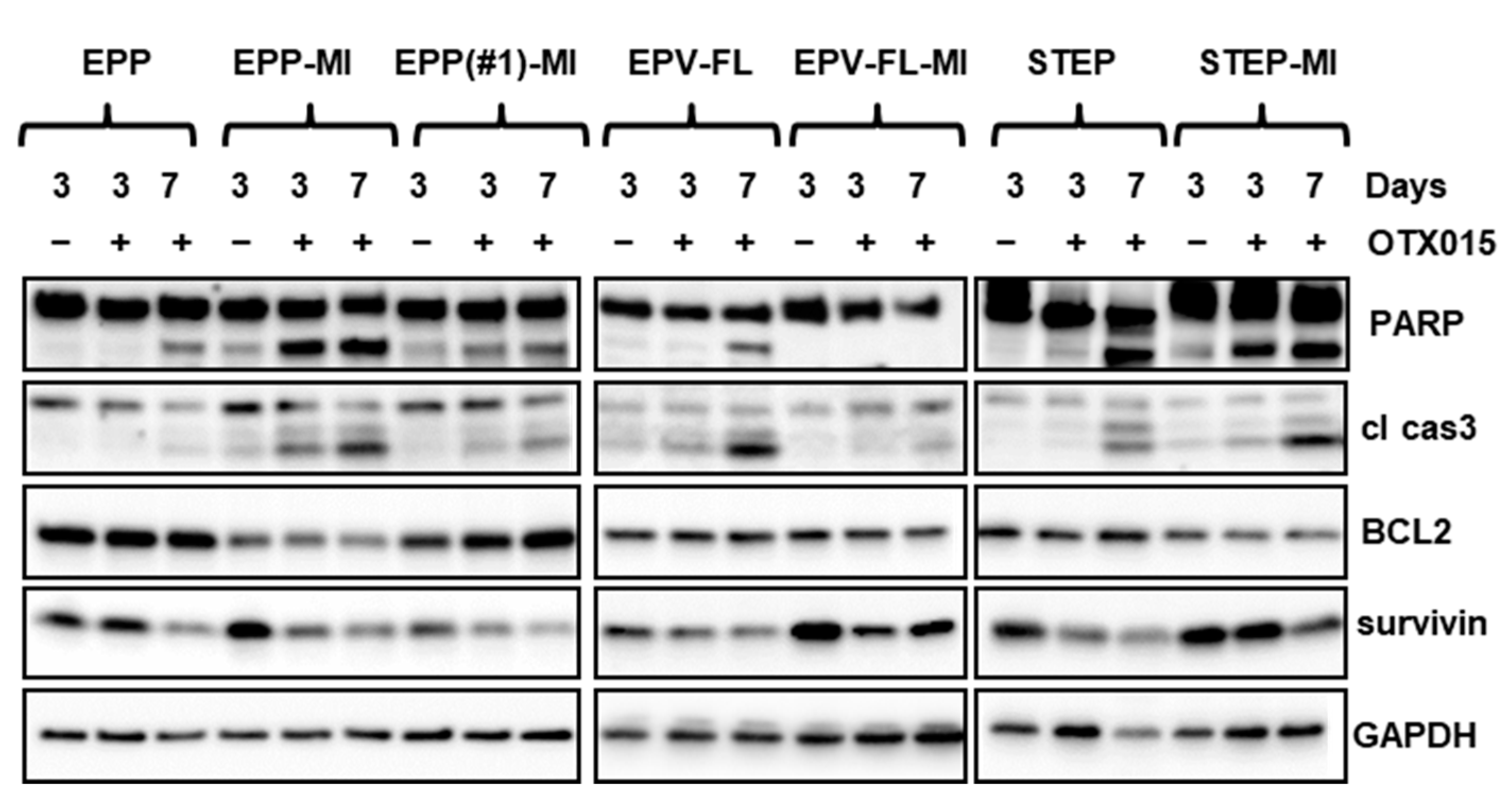 Ijms 22 01877 g003 Ijms 22 01877 g003