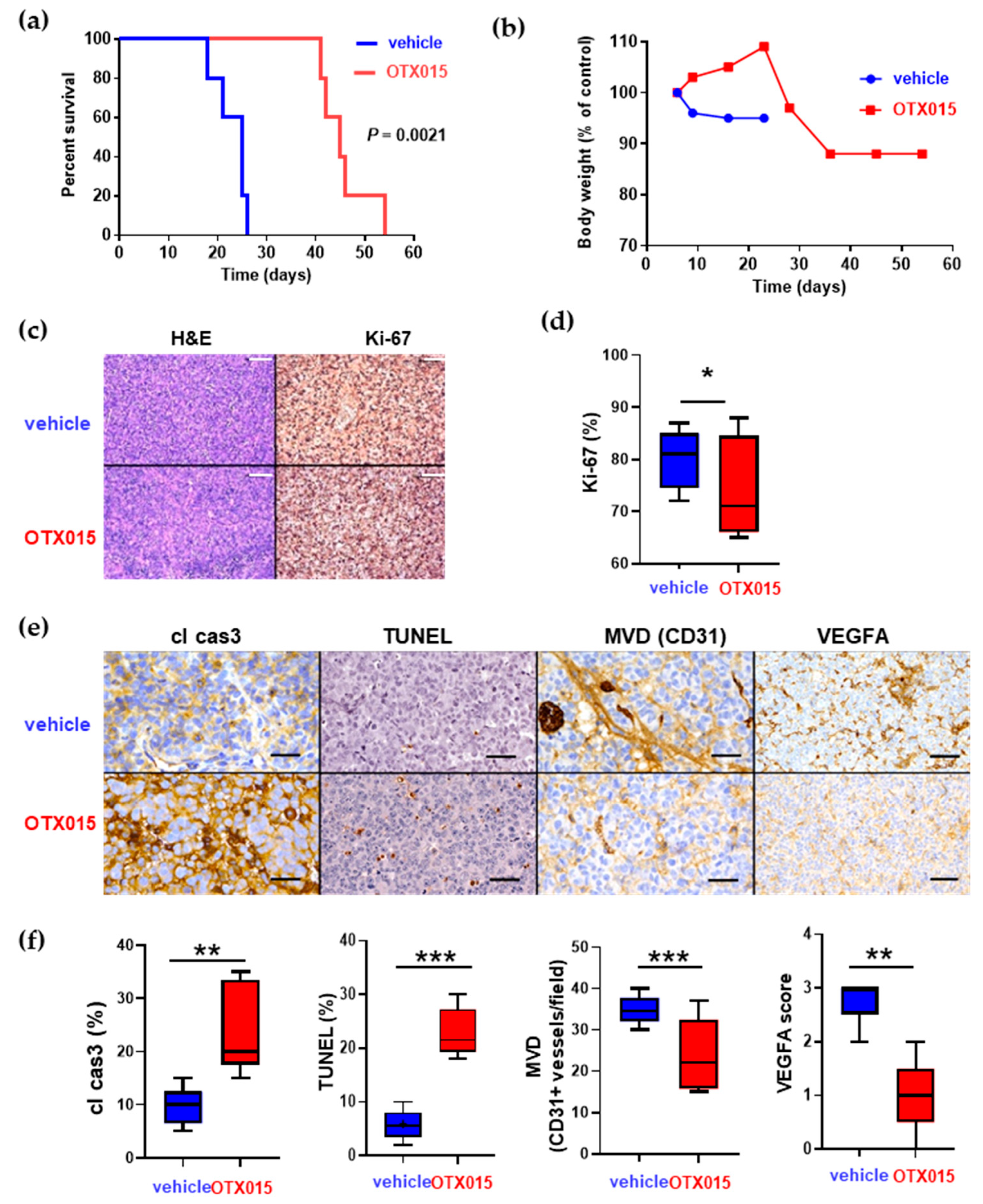 Ijms 22 01877 g005 Ijms 22 01877 g005
