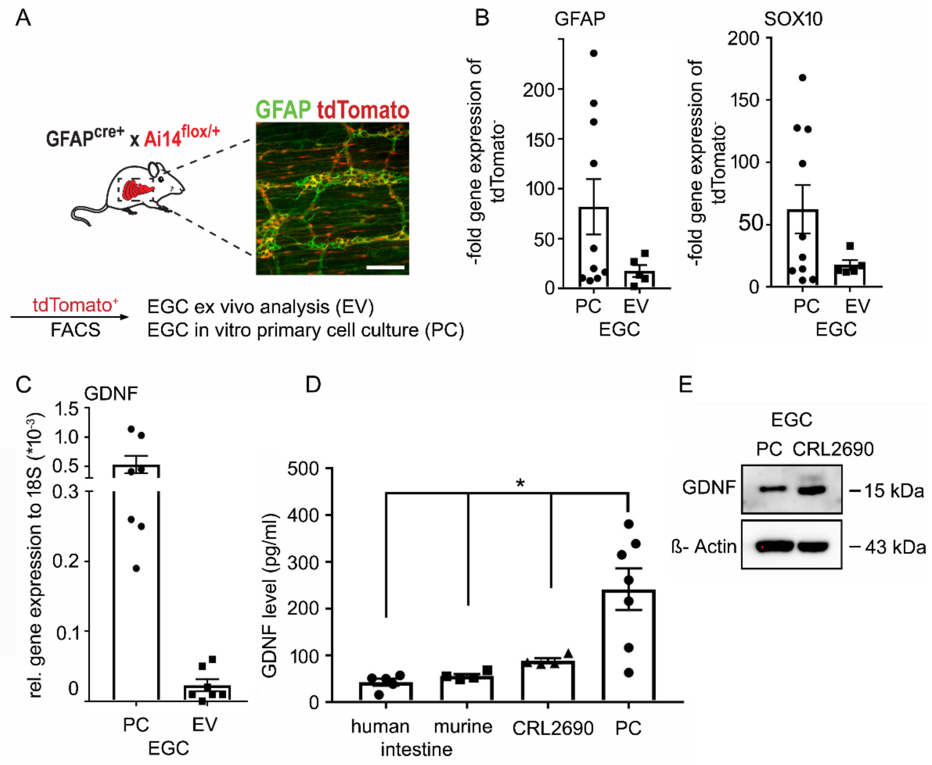 Ijms 22 01887 g001 Ijms 22 01887 g001