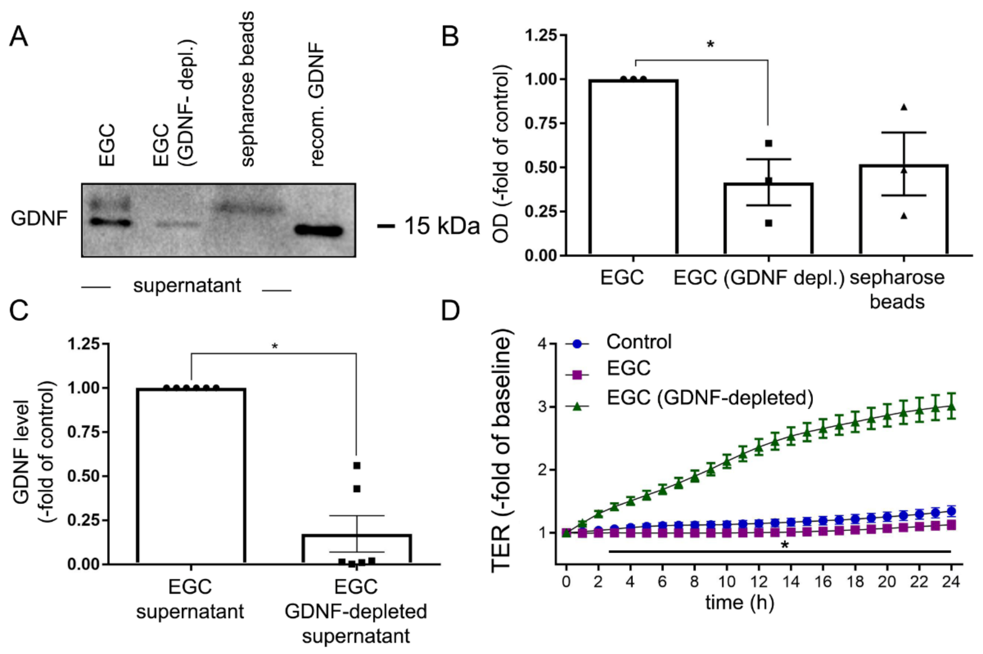 Ijms 22 01887 g003 Ijms 22 01887 g003
