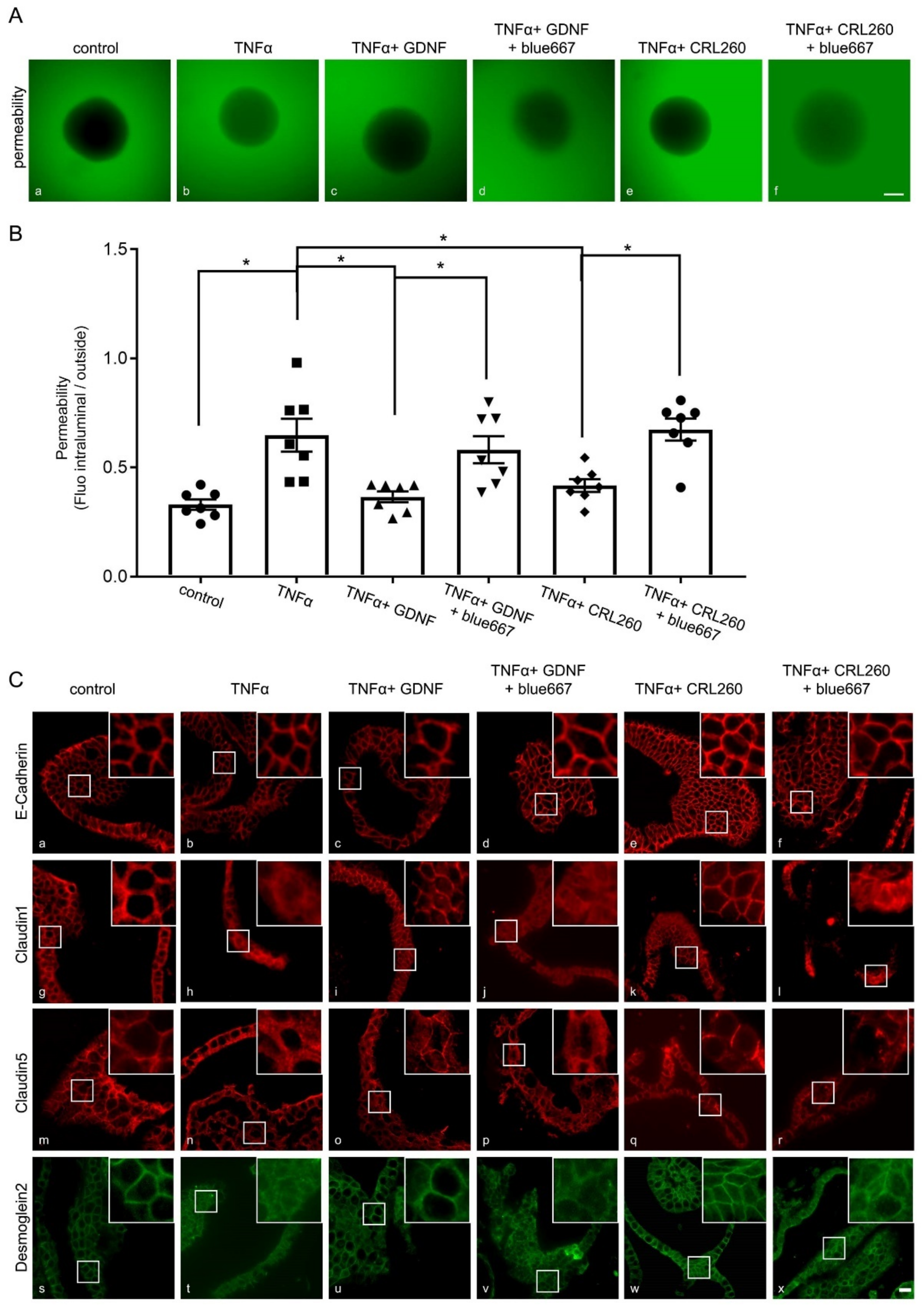 Ijms 22 01887 g009 Ijms 22 01887 g009