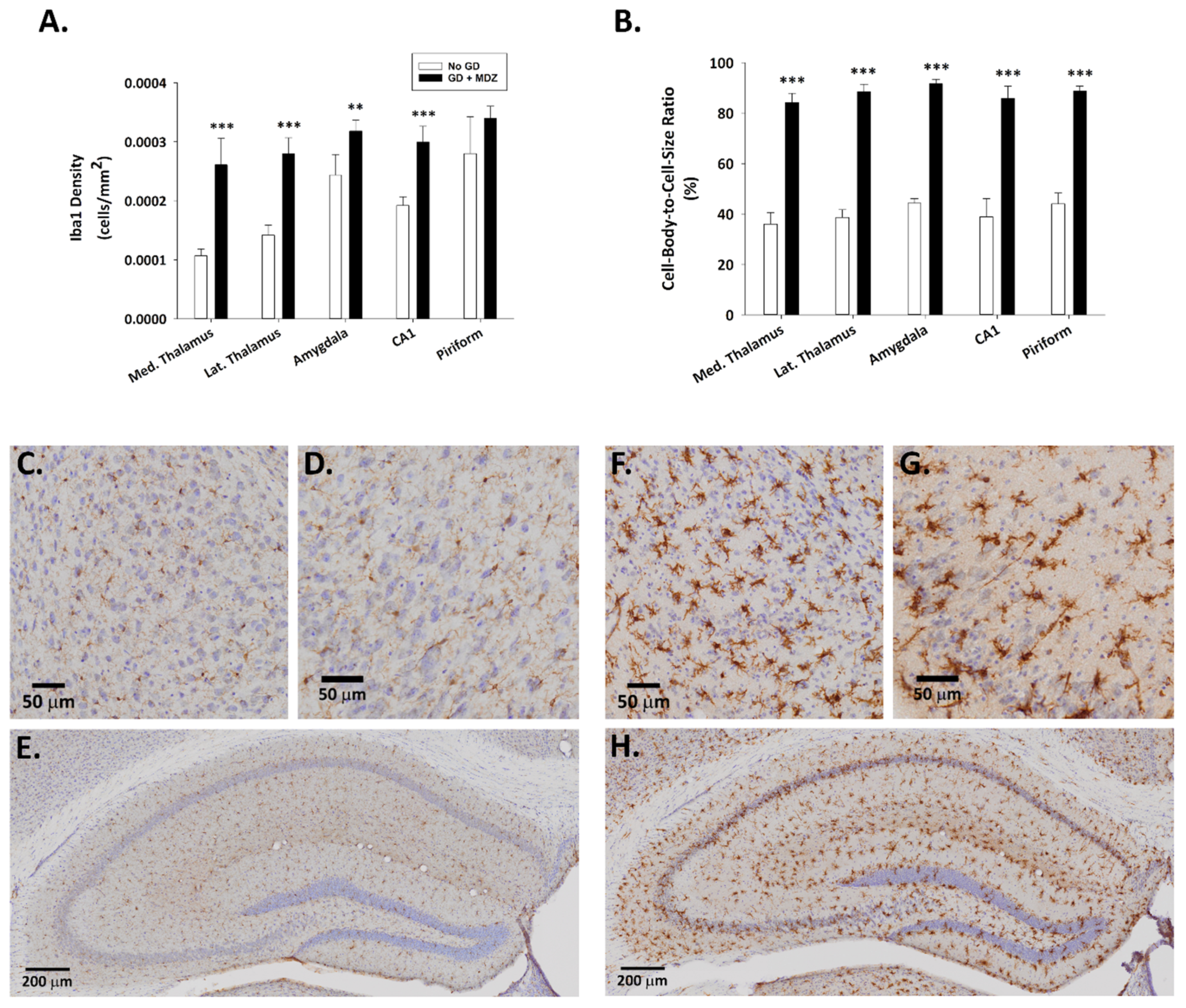 Ijms 22 01893 g003 Ijms 22 01893 g003