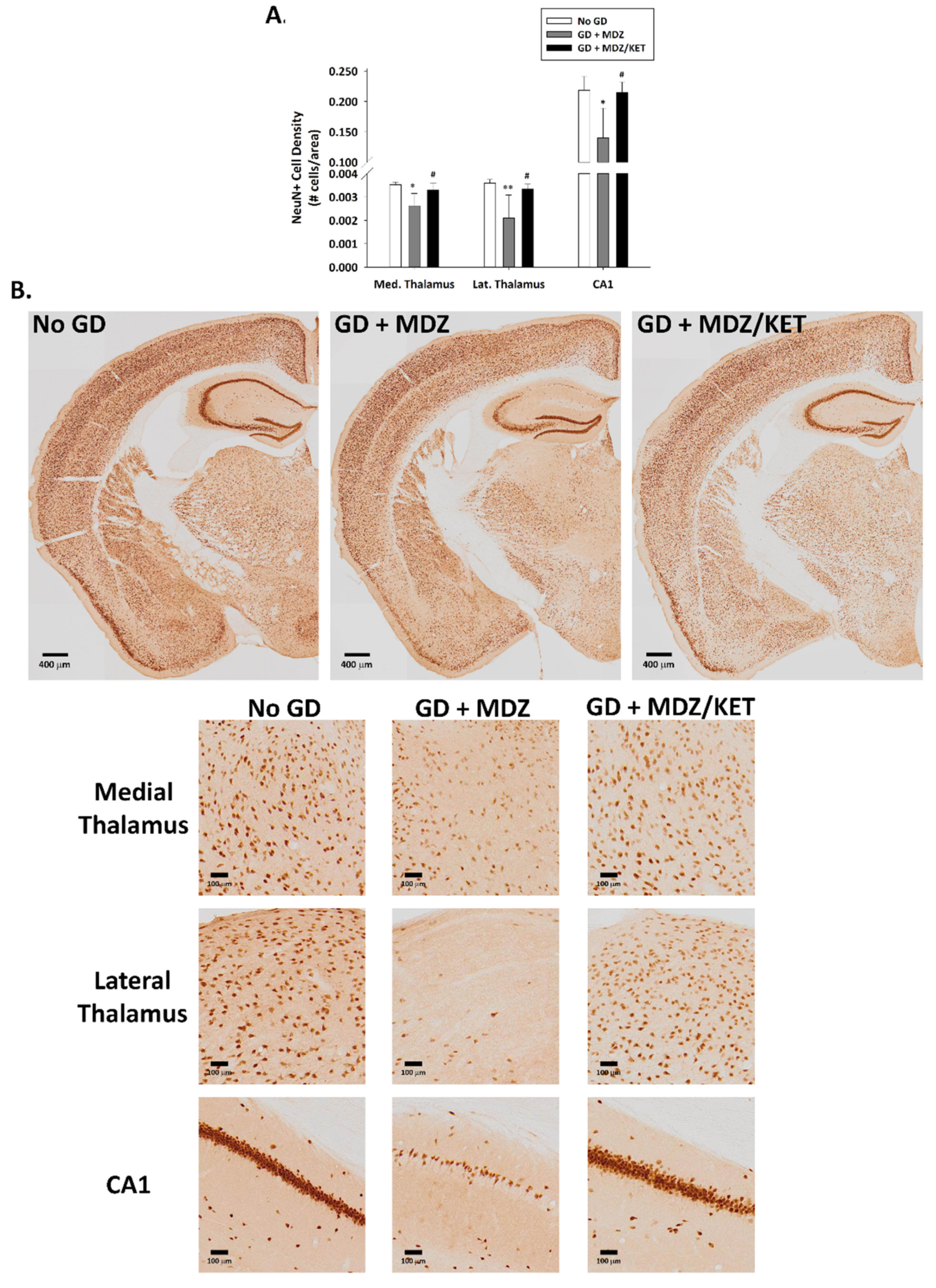 Ijms 22 01893 g008 Ijms 22 01893 g008